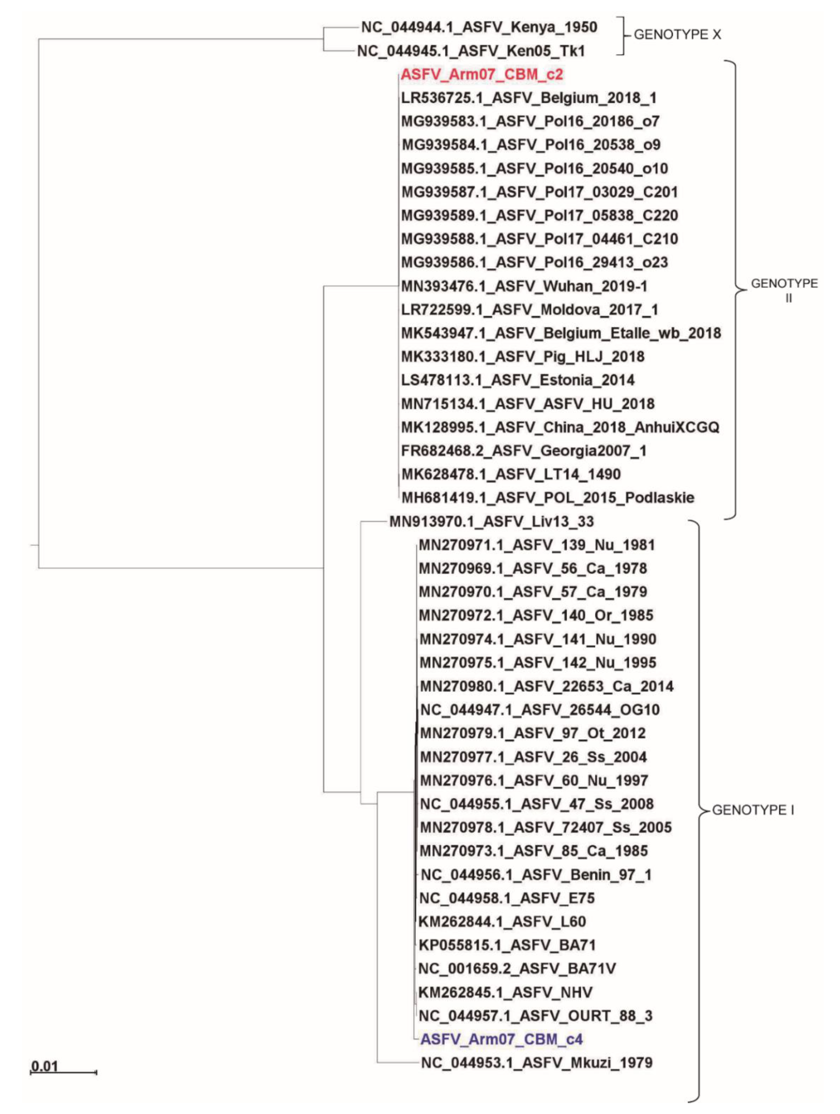 Vaccines 08 00625 g004 Vaccines 08 00625 g004