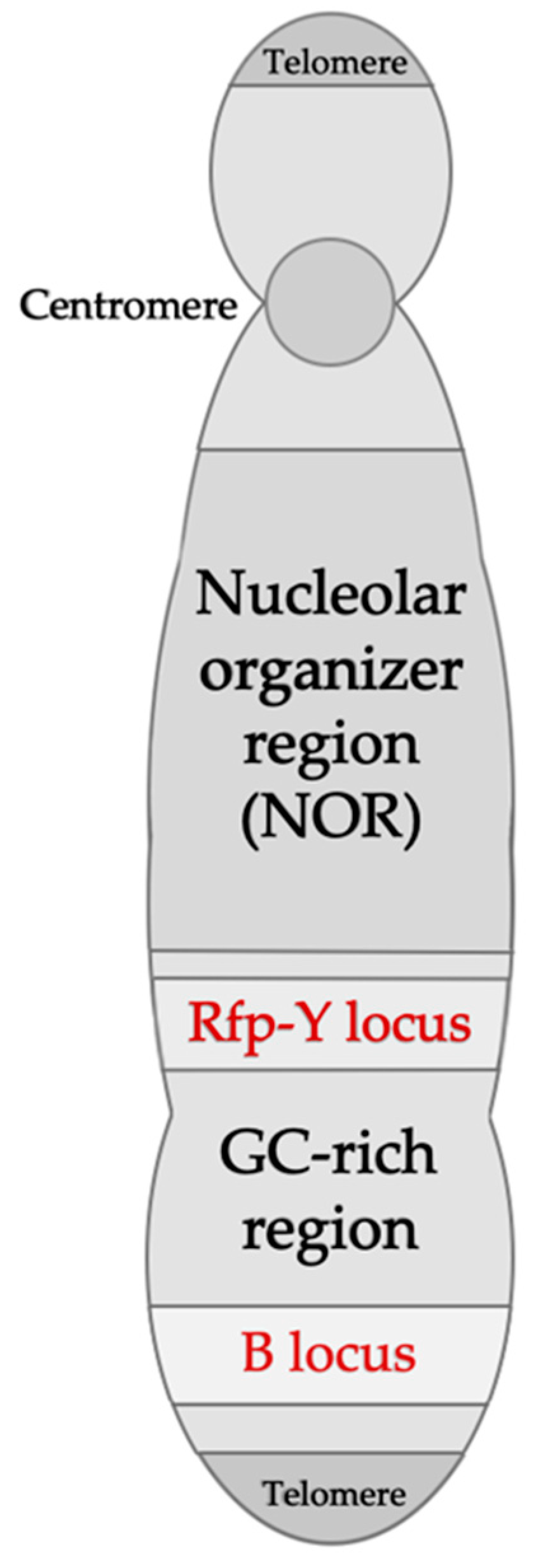 Vaccines 08 00637 g002