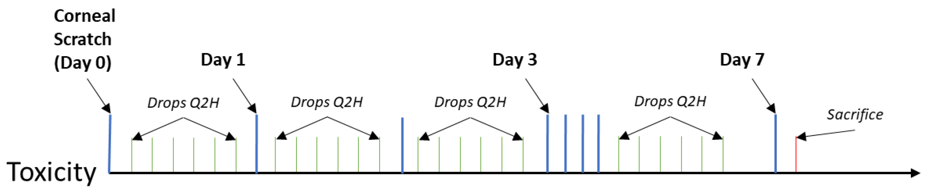 Vaccines 08 00638 g001