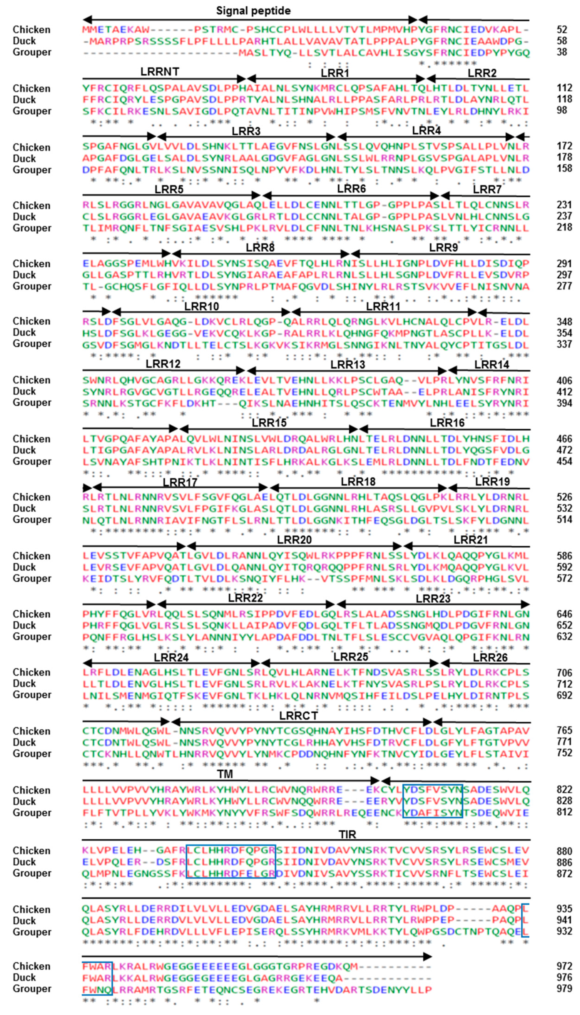 Vaccines 08 00639 g001