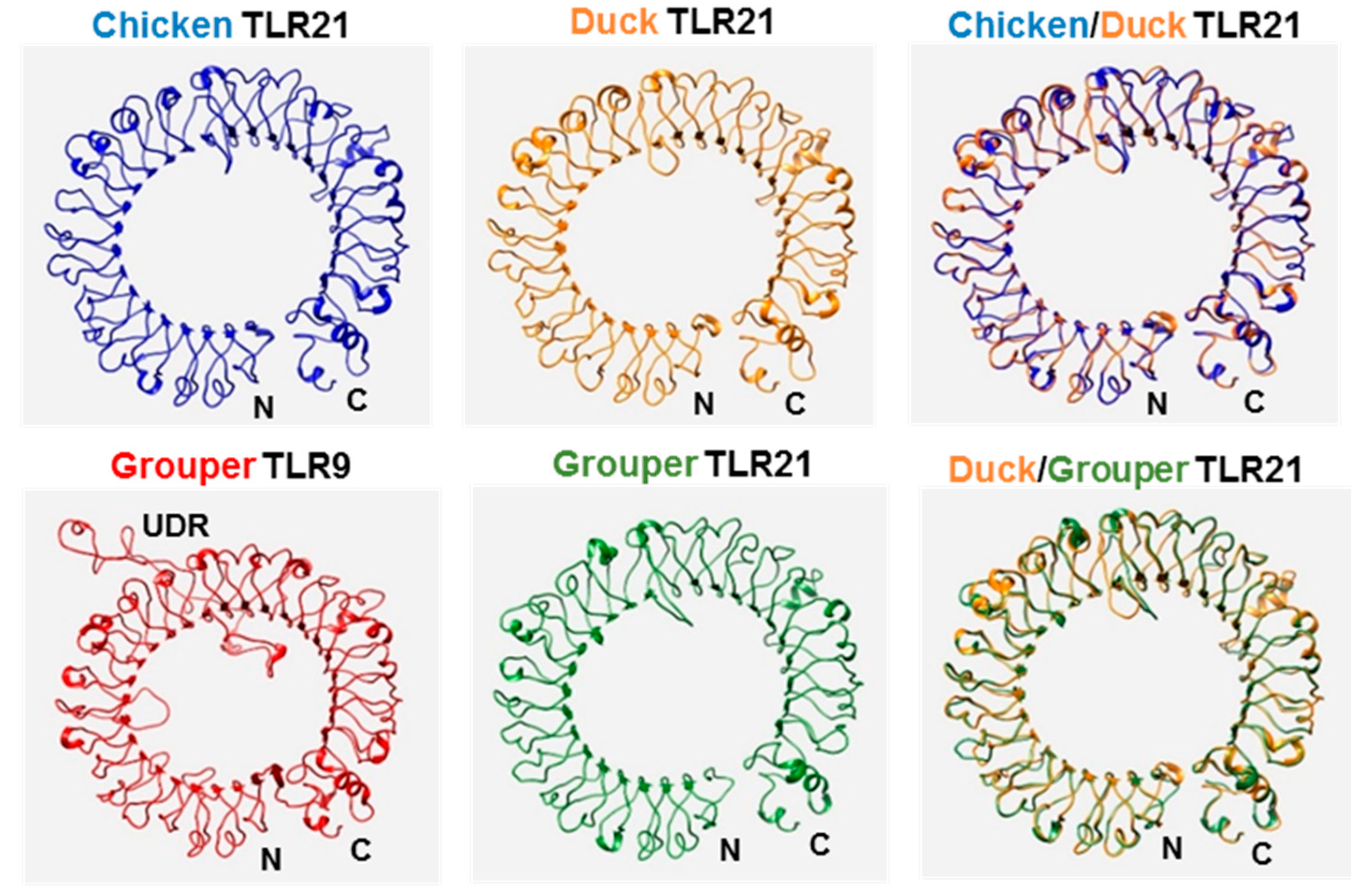 Vaccines 08 00639 g002