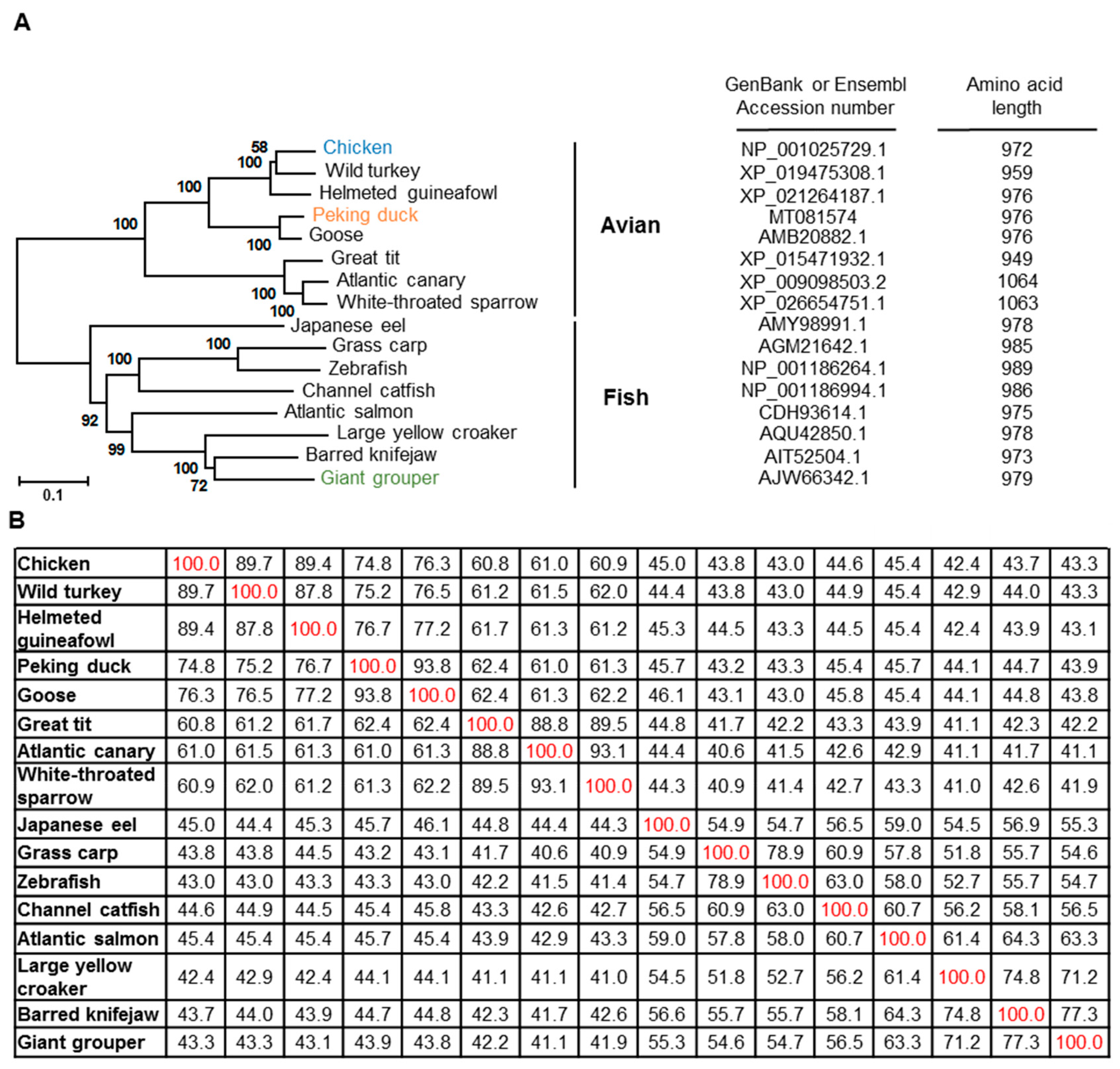 Vaccines 08 00639 g003