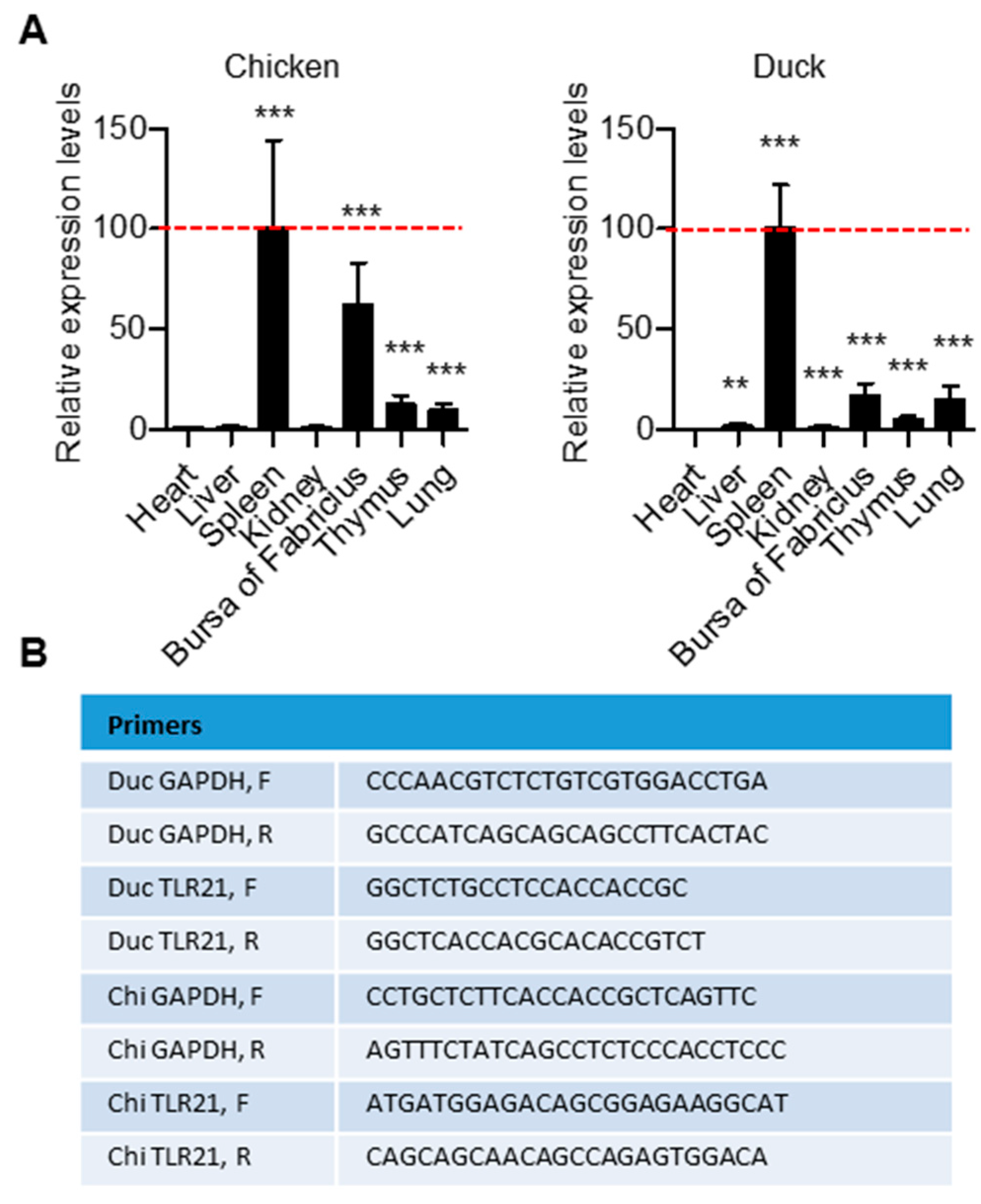 Vaccines 08 00639 g004