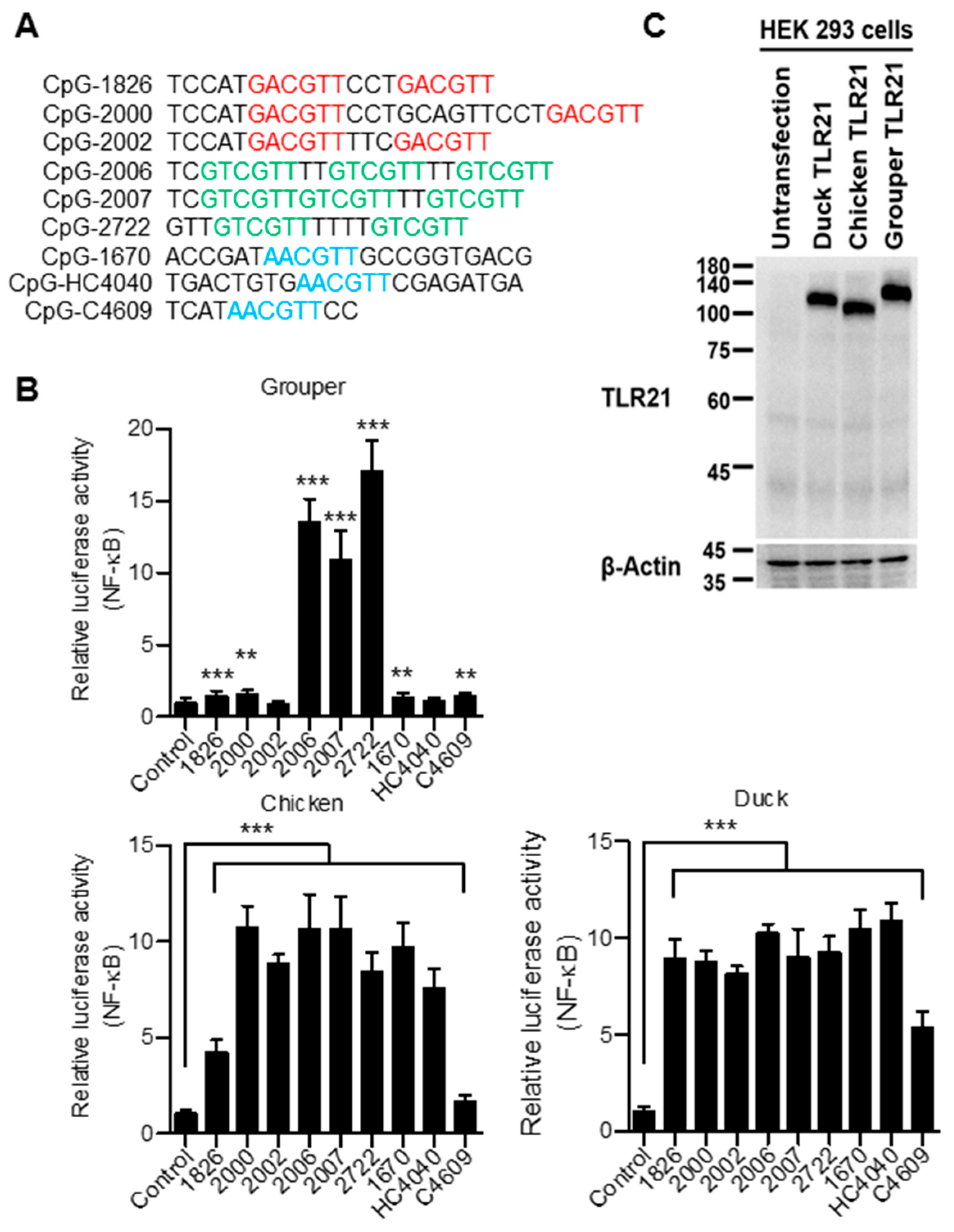 Vaccines 08 00639 g006