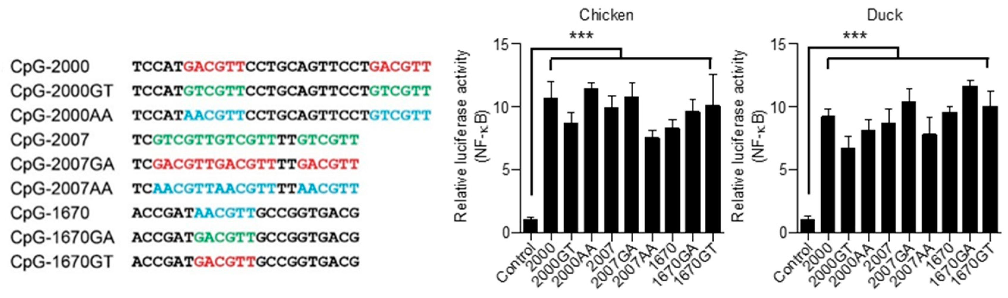 Vaccines 08 00639 g007