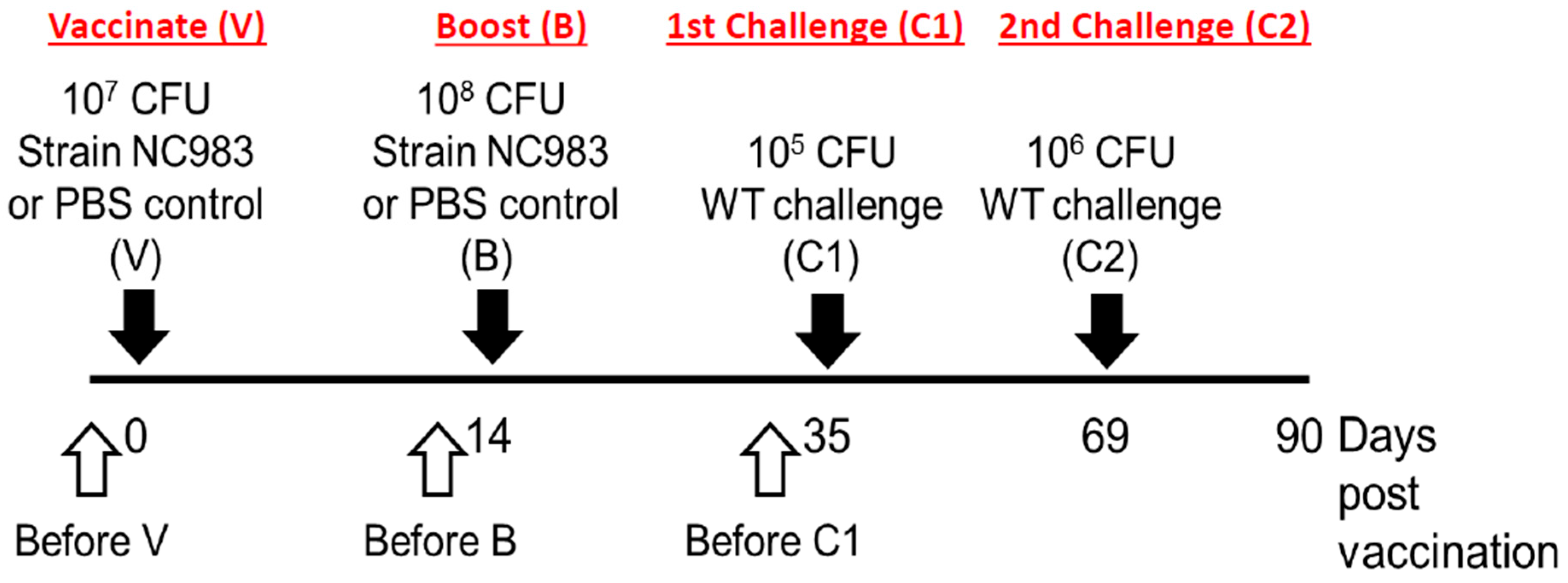 Vaccines 08 00646 g001