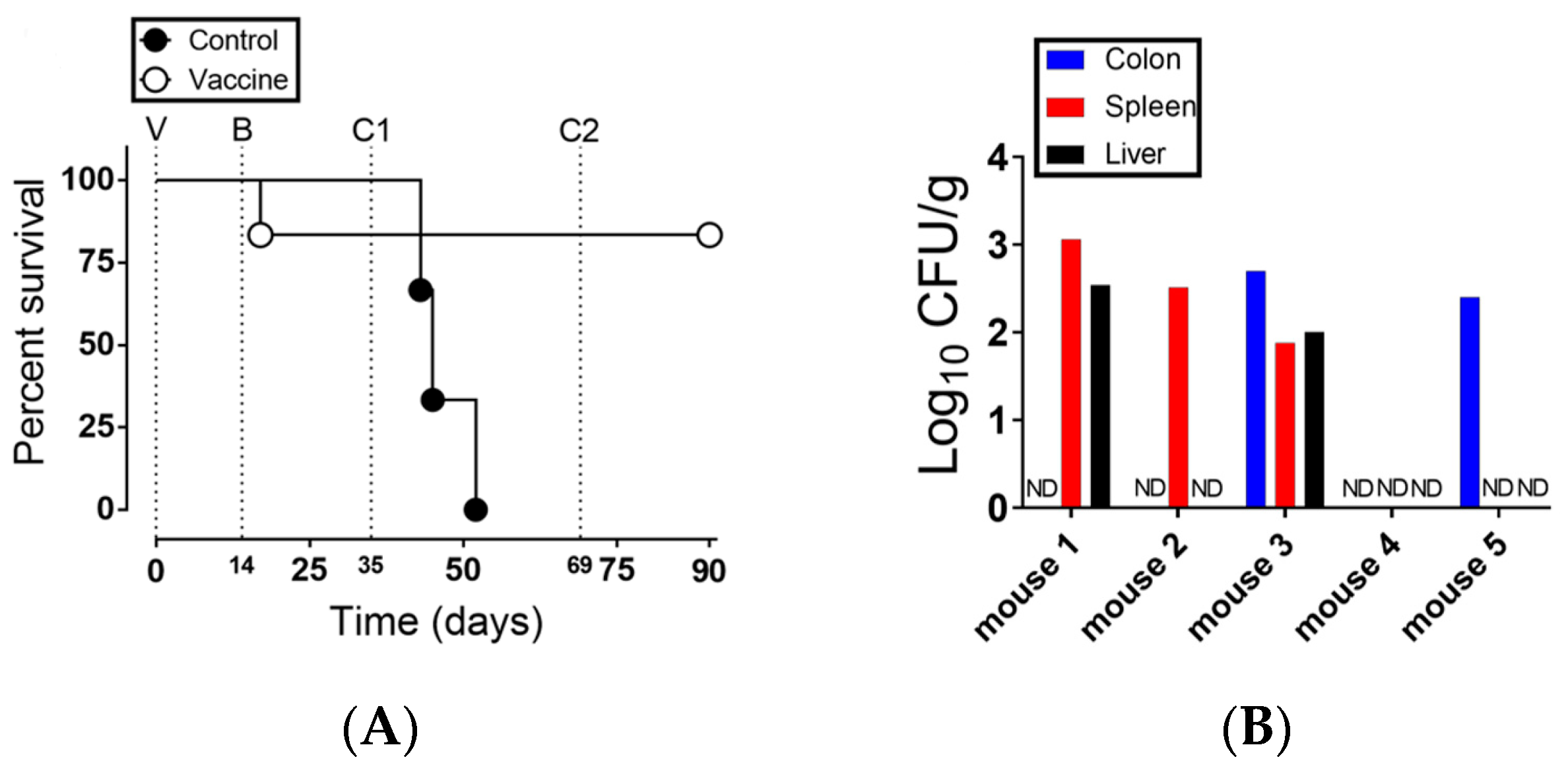 Vaccines 08 00646 g003a