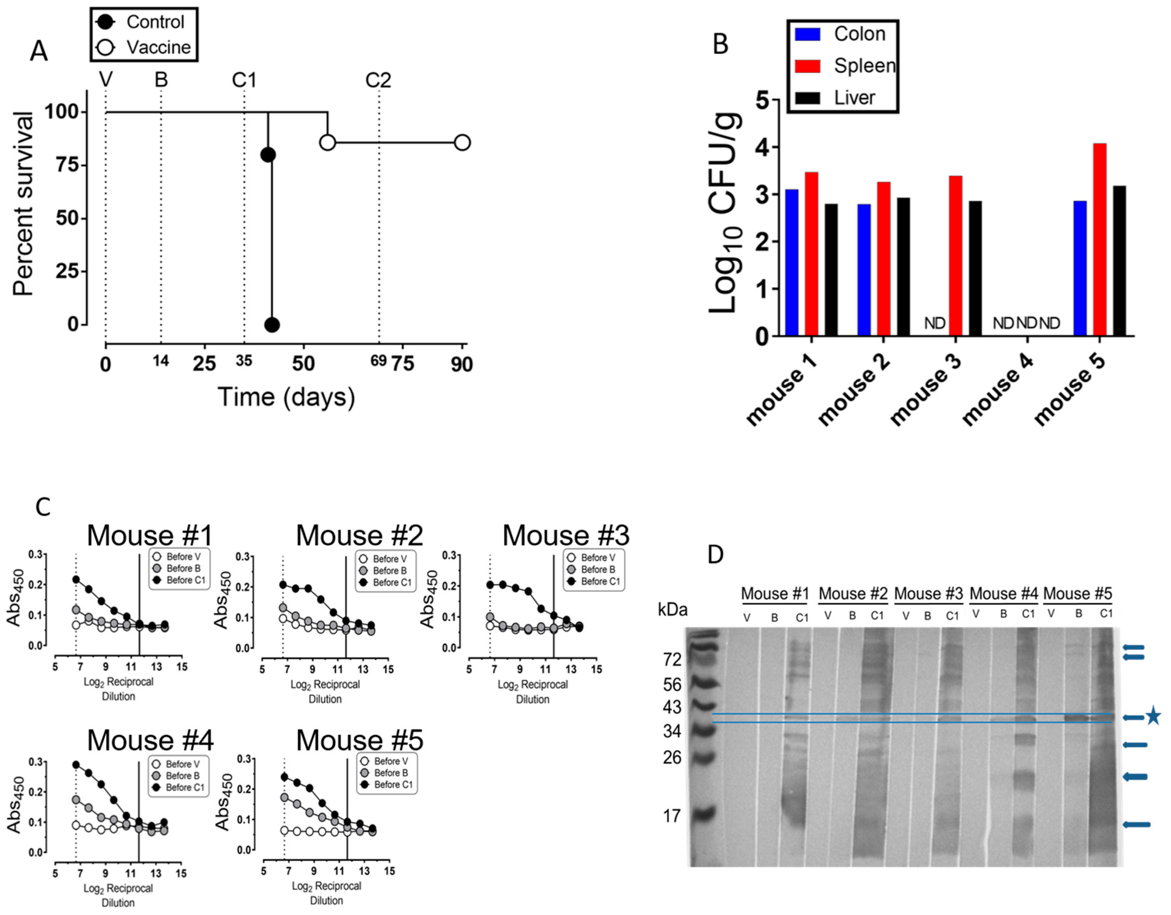 Vaccines 08 00646 g004