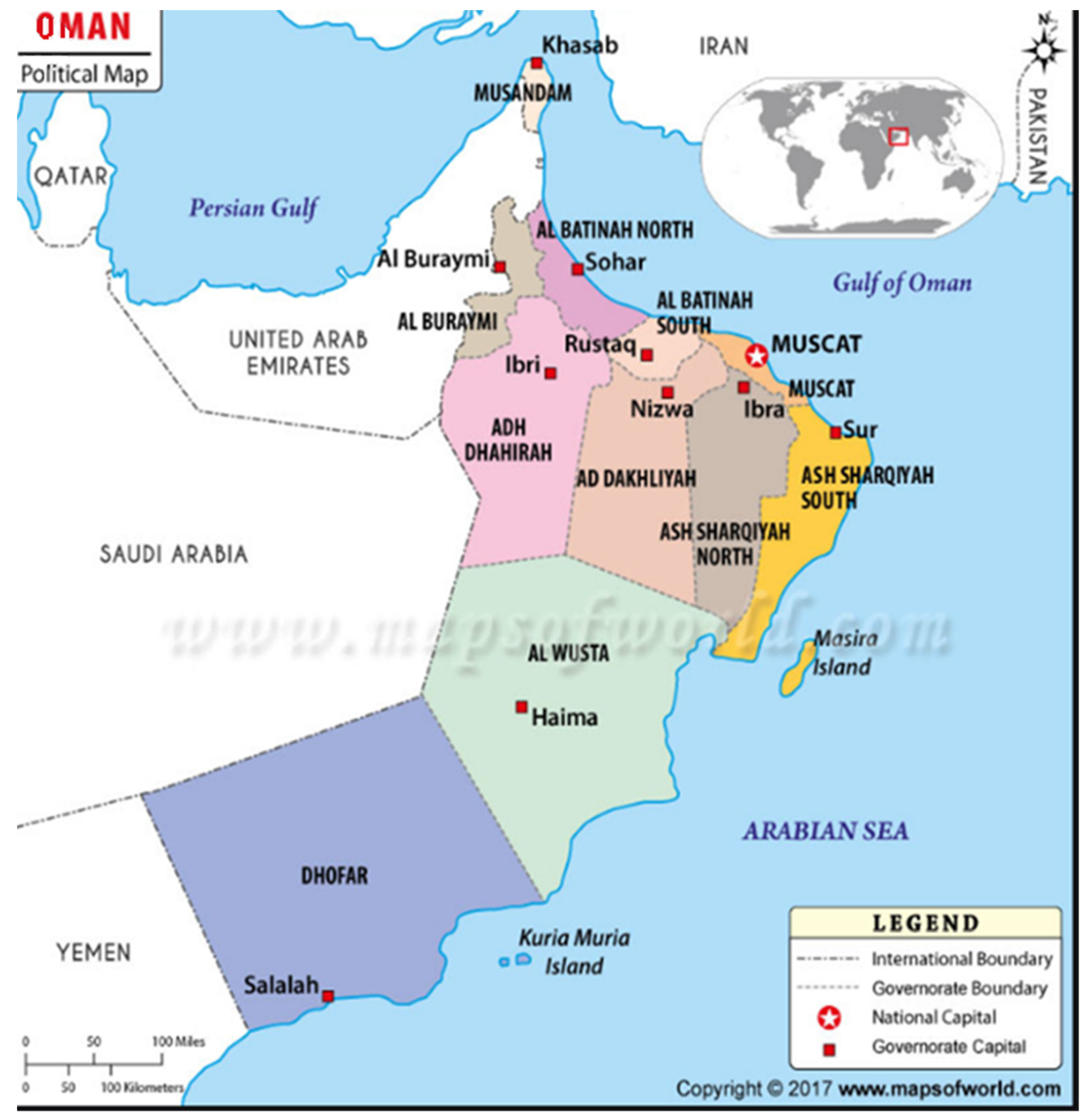 Vaccines 08 00661 g001