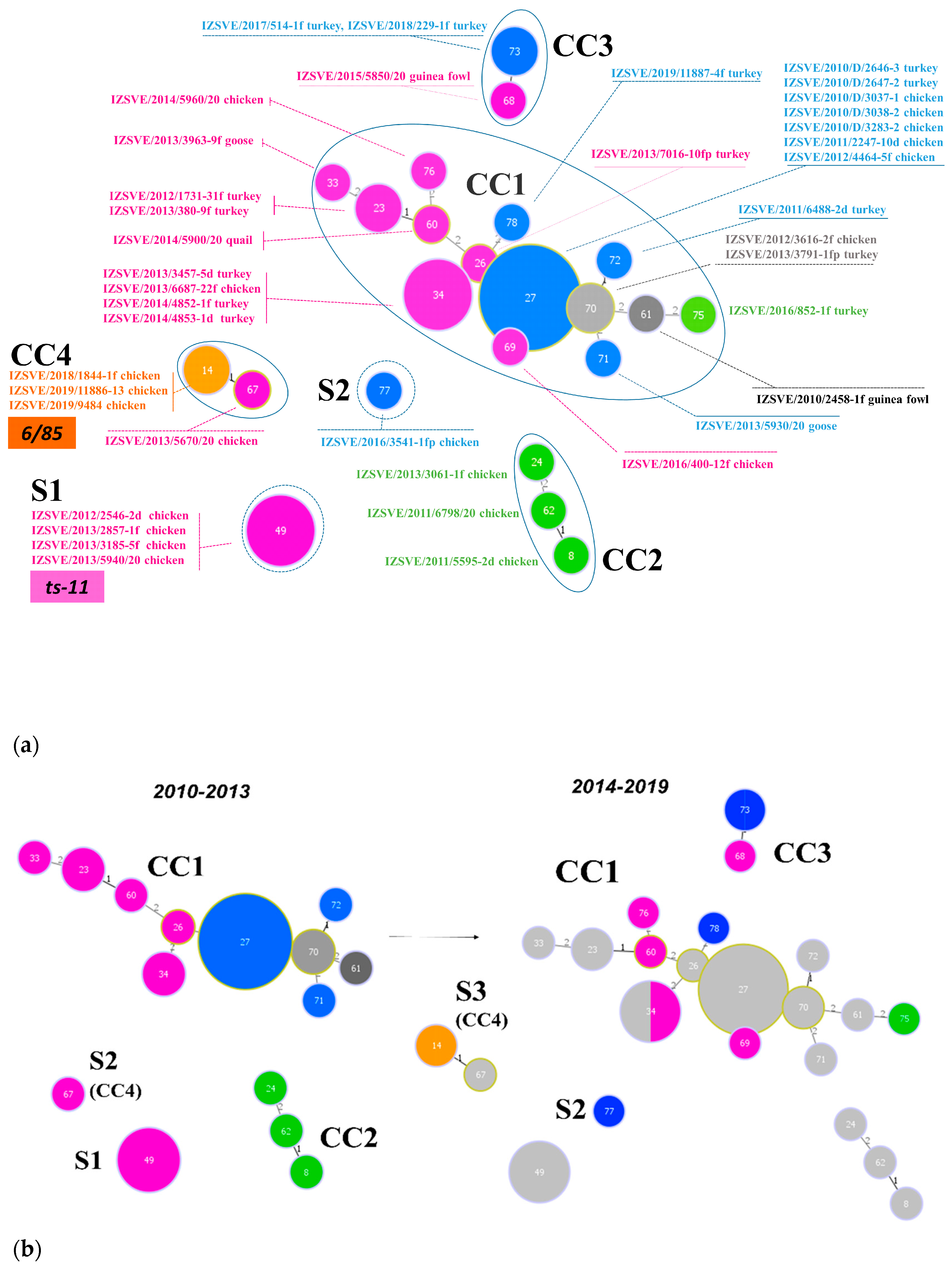Vaccines 08 00665 g002