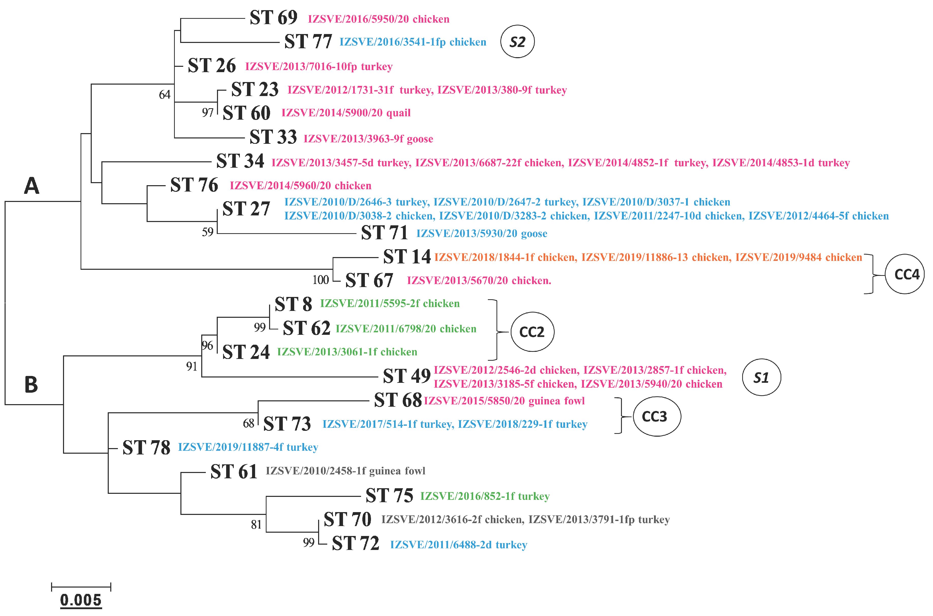 Vaccines 08 00665 g003