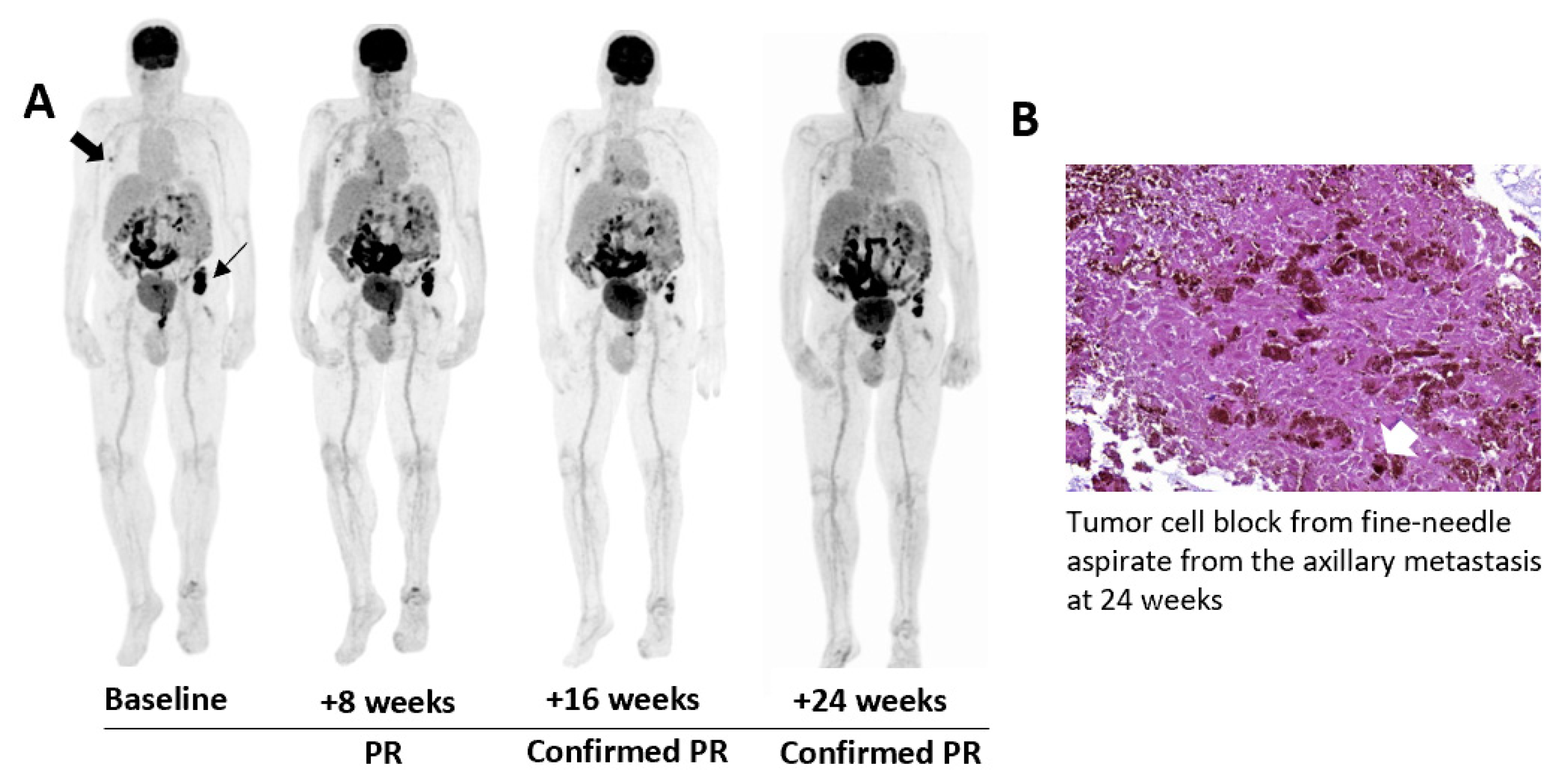 Vaccines 08 00670 g003a Vaccines 08 00670 g003a