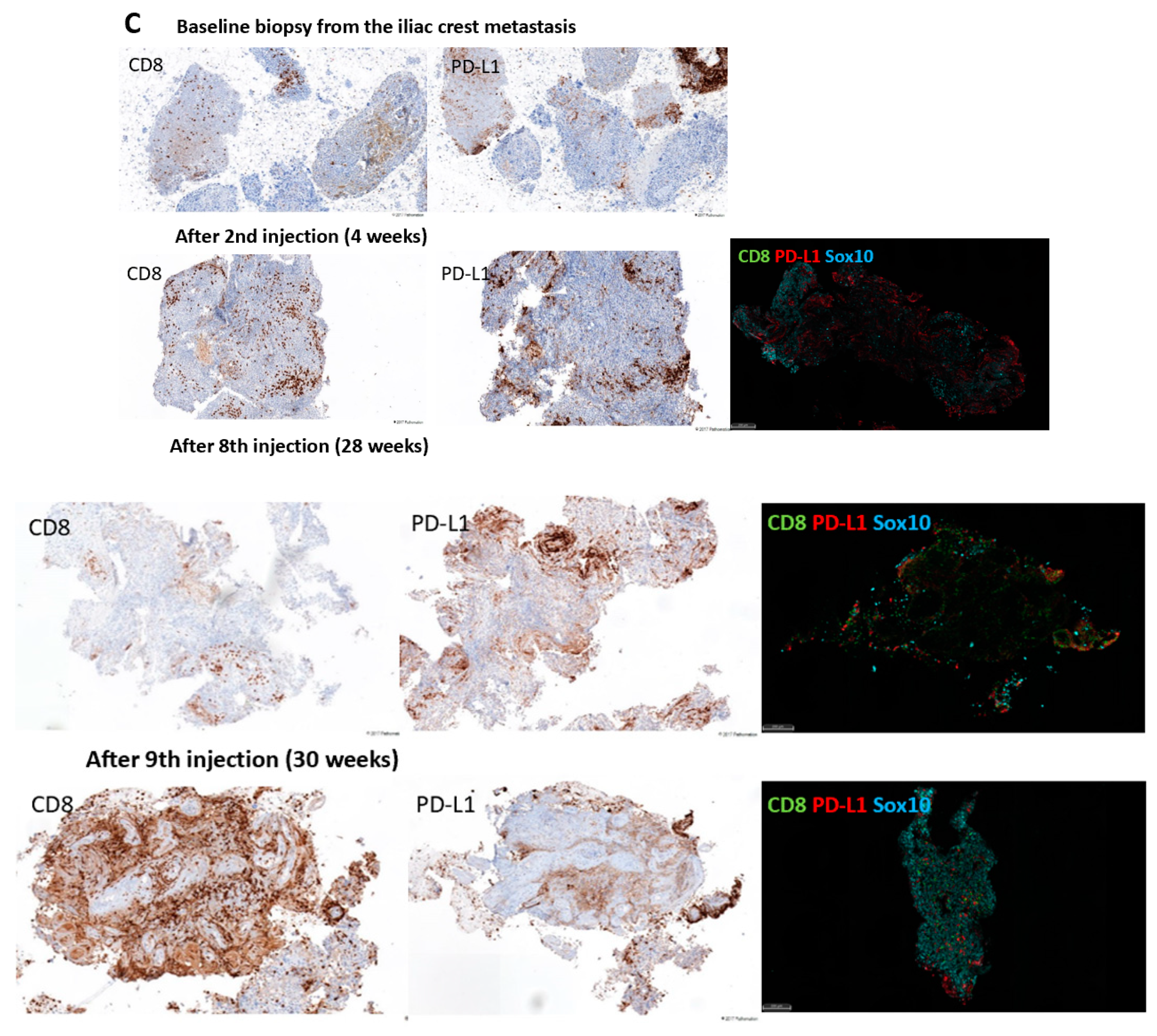 Vaccines 08 00670 g003b Vaccines 08 00670 g003b