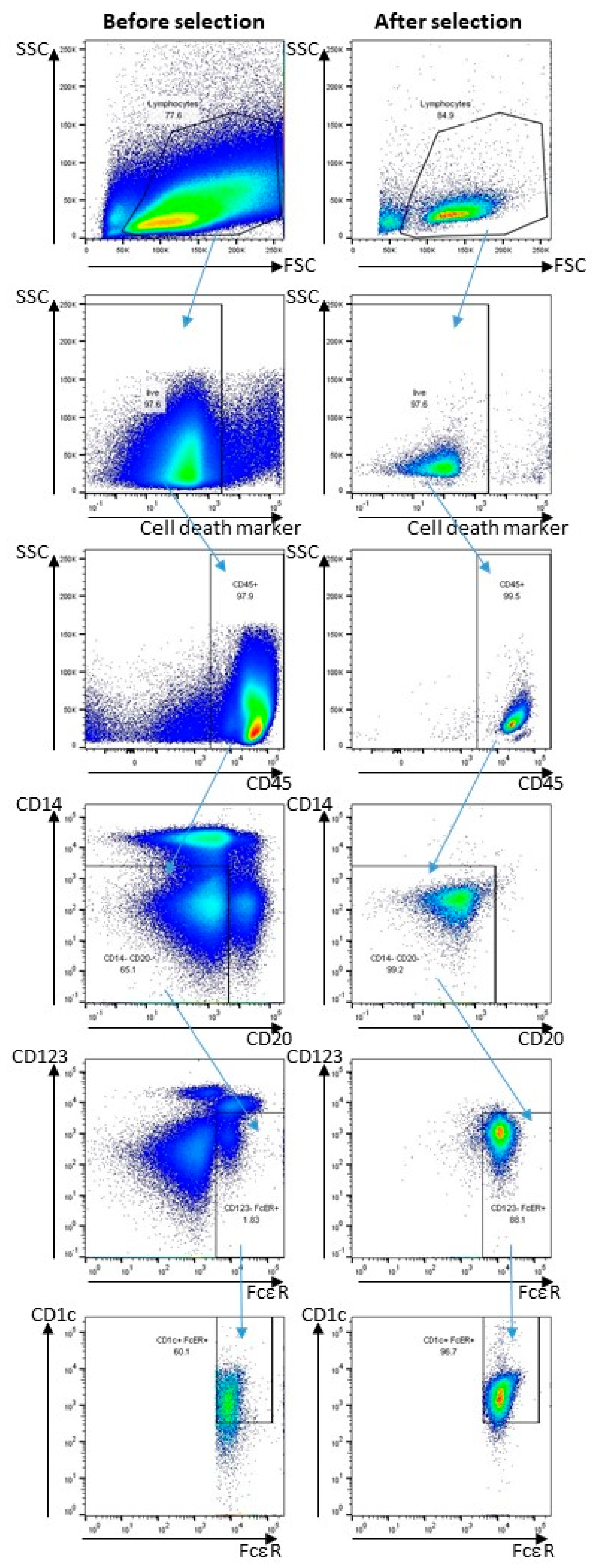 Vaccines 08 00670 g0a1 Vaccines 08 00670 g0a1