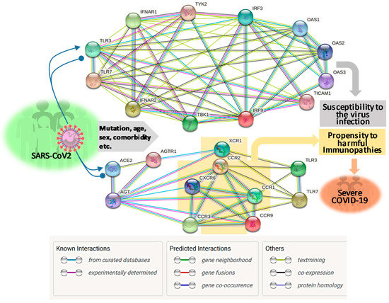 Vaccines 08 00700 g001