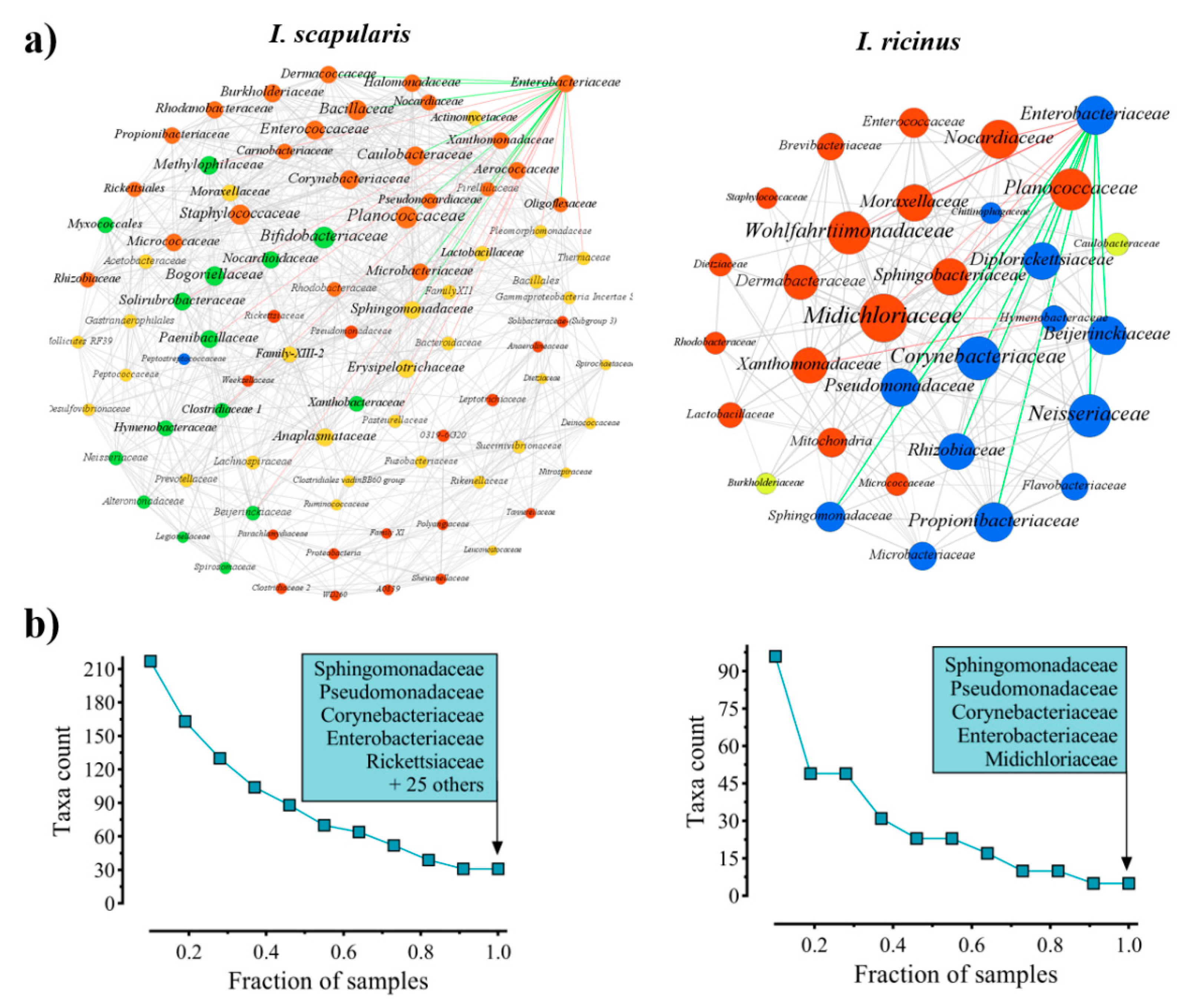 Vaccines 08 00702 g001 Vaccines 08 00702 g001