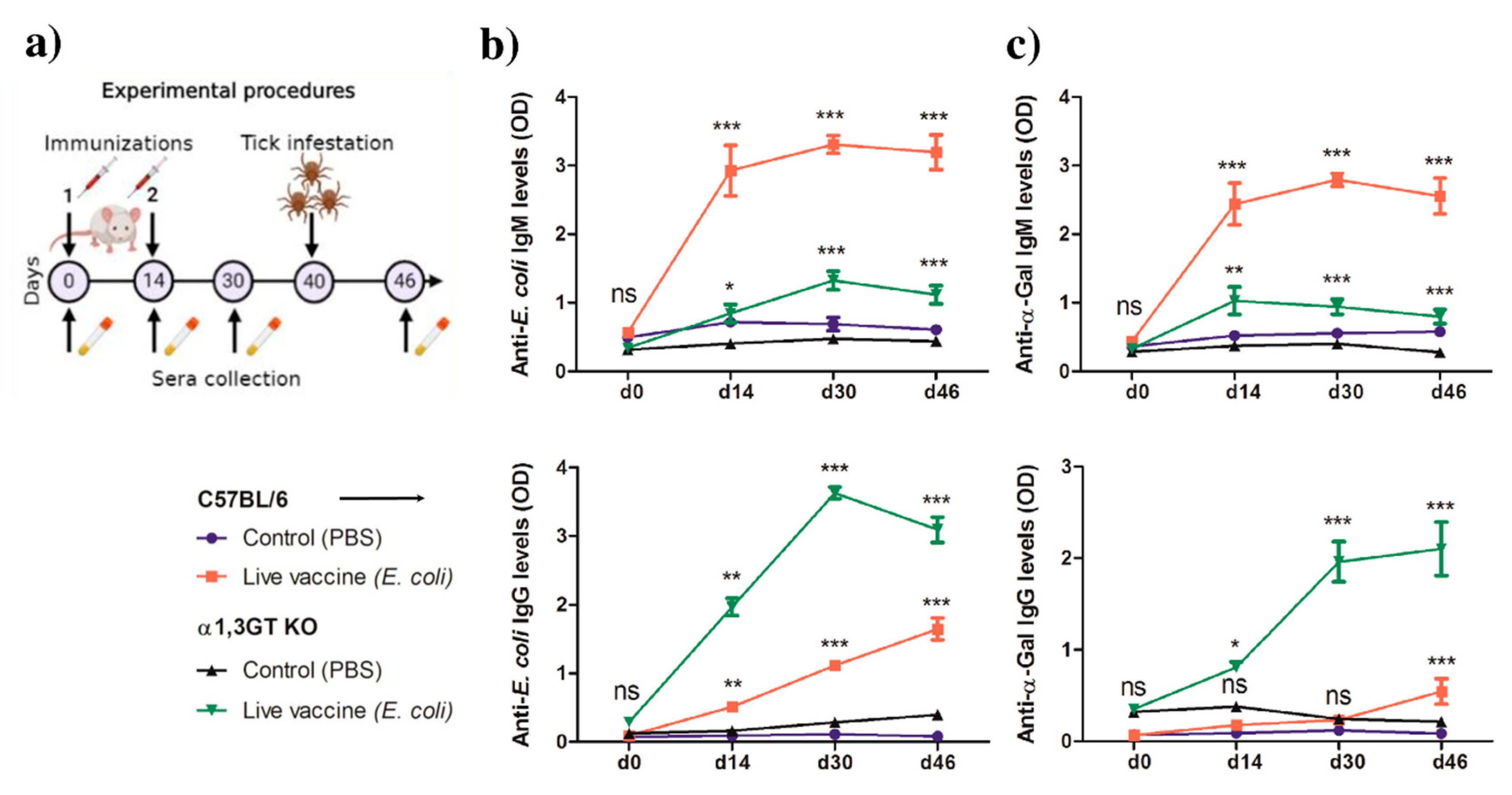 Vaccines 08 00702 g004 Vaccines 08 00702 g004