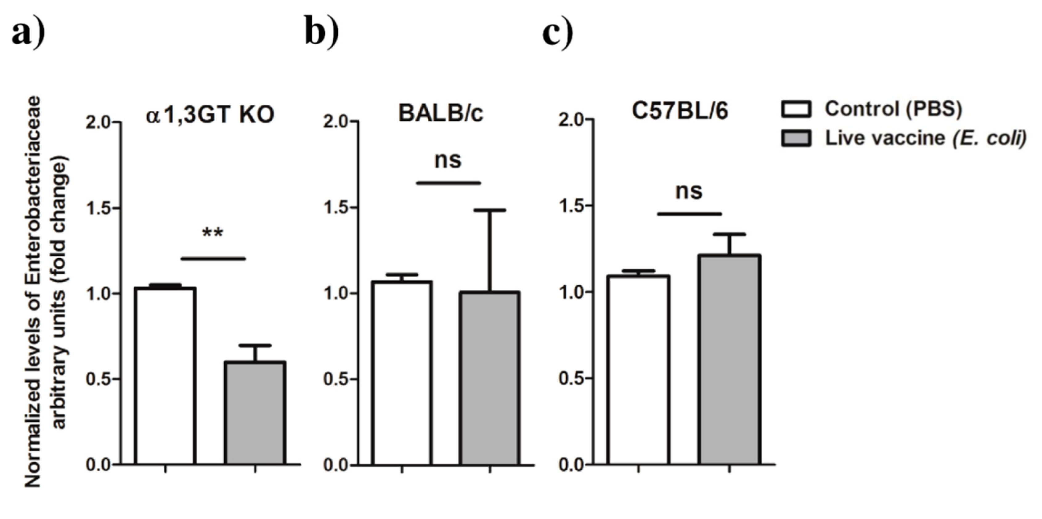 Vaccines 08 00702 g007 Vaccines 08 00702 g007