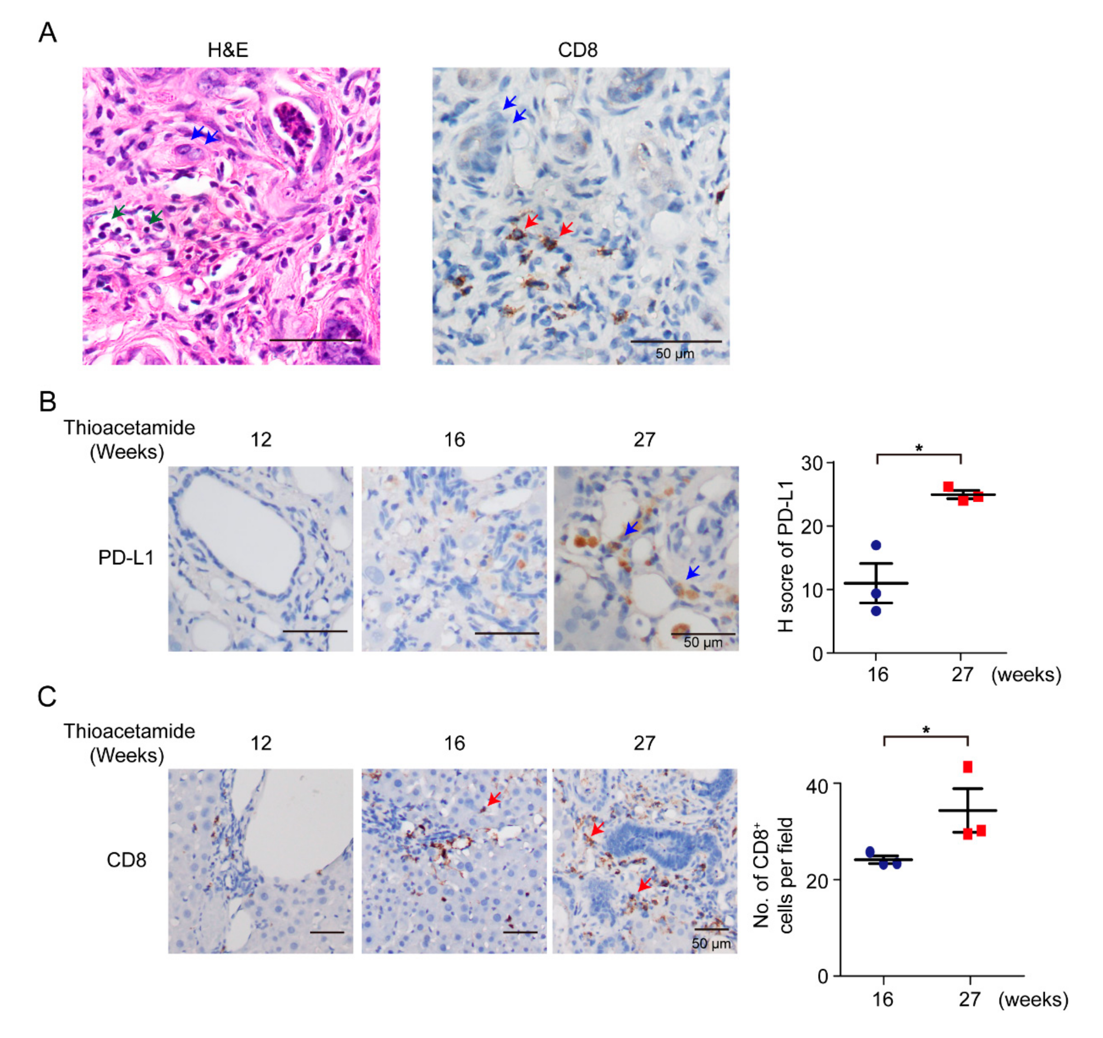 Vaccines 08 00703 g001 Vaccines 08 00703 g001