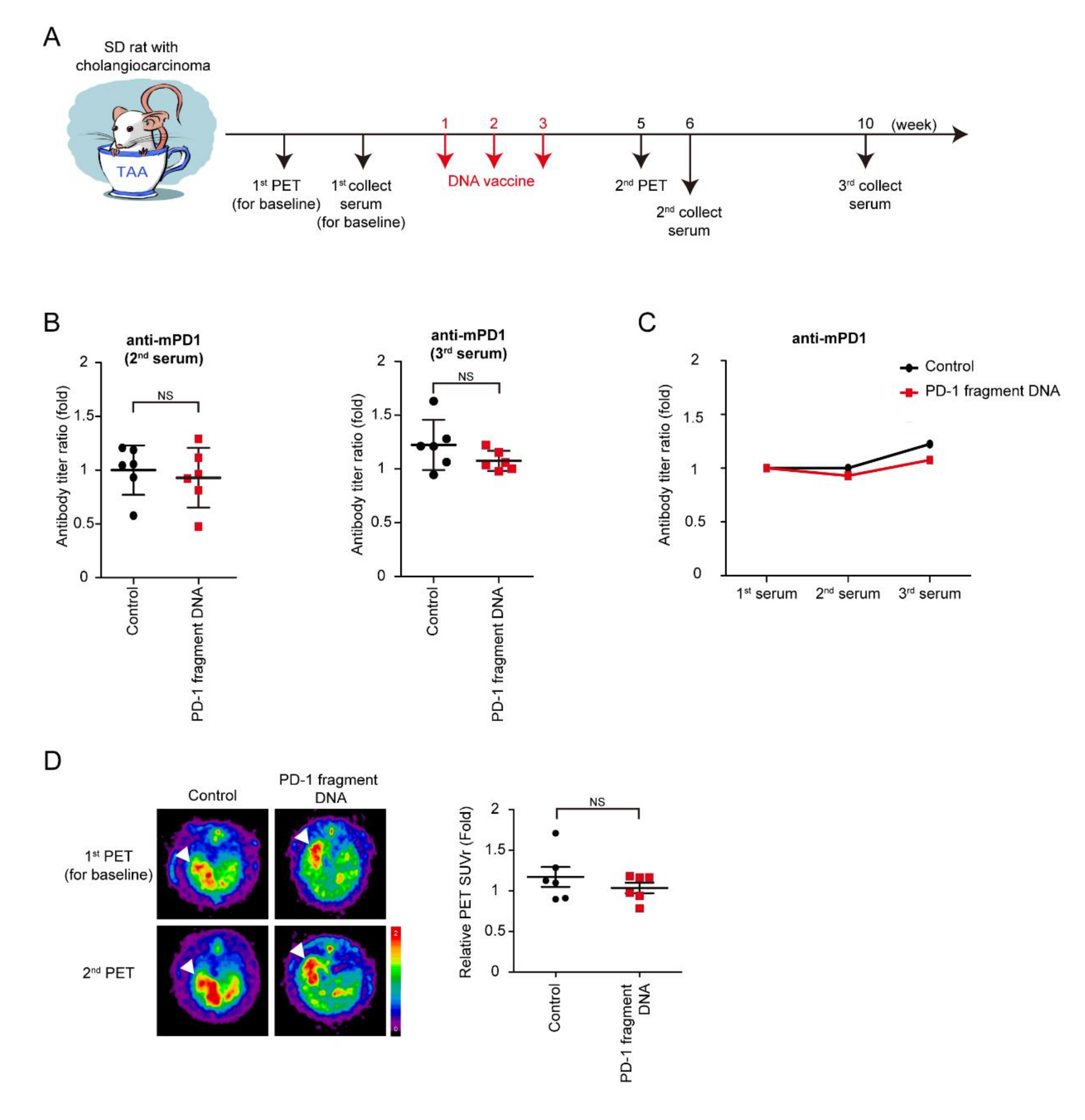 Vaccines 08 00703 g002 Vaccines 08 00703 g002