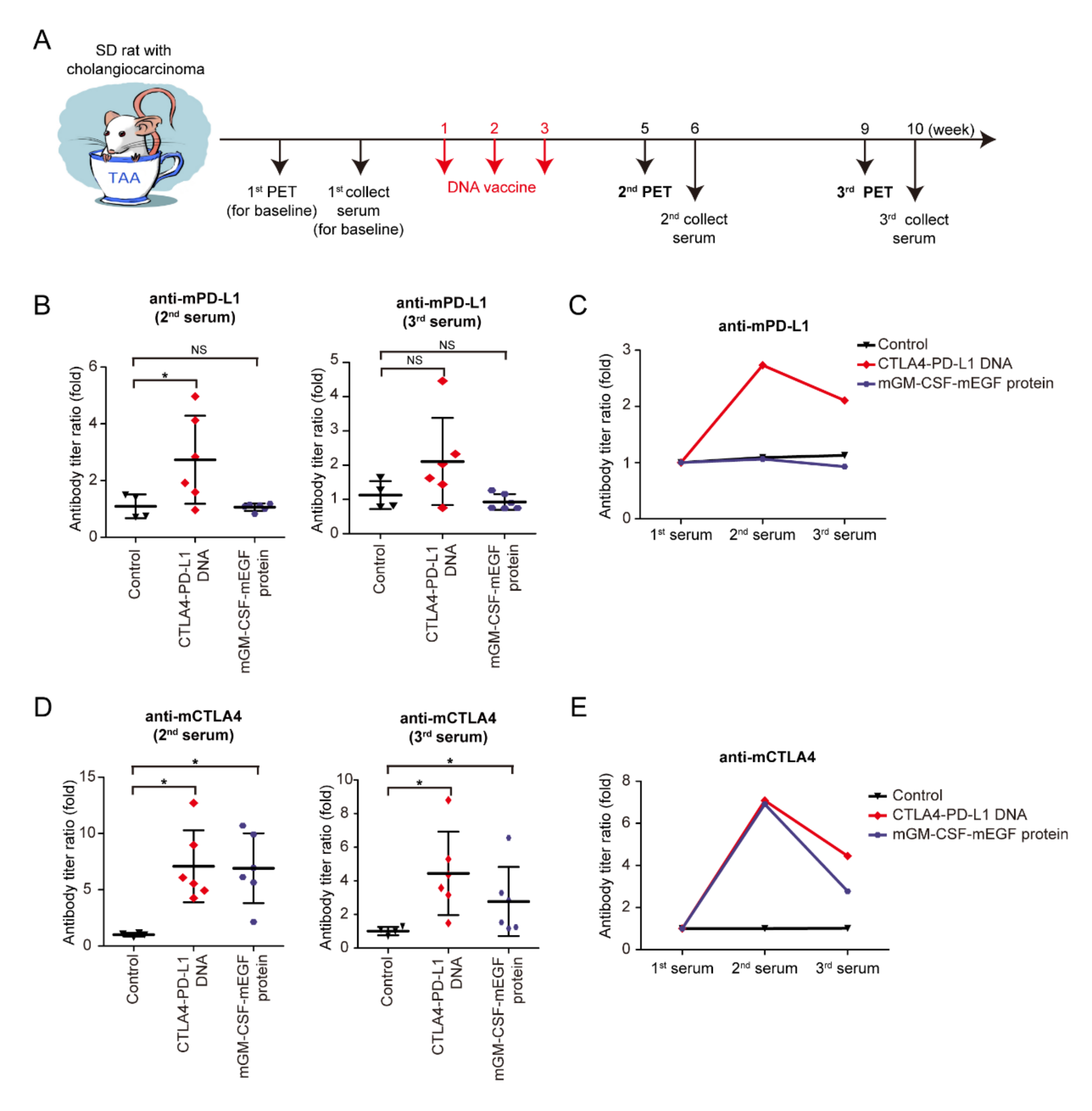 Vaccines 08 00703 g003 Vaccines 08 00703 g003