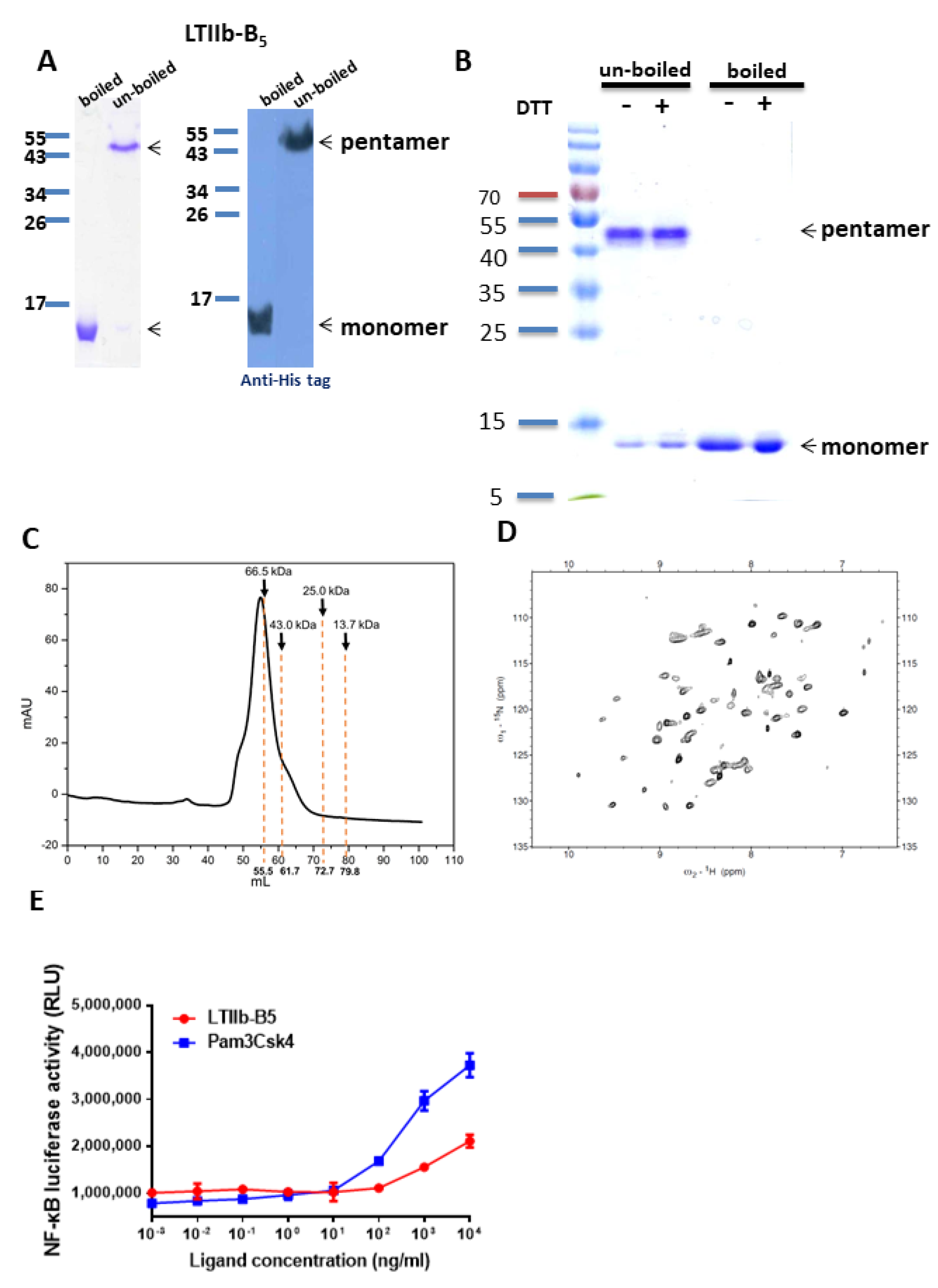 Vaccines 08 00710 g001