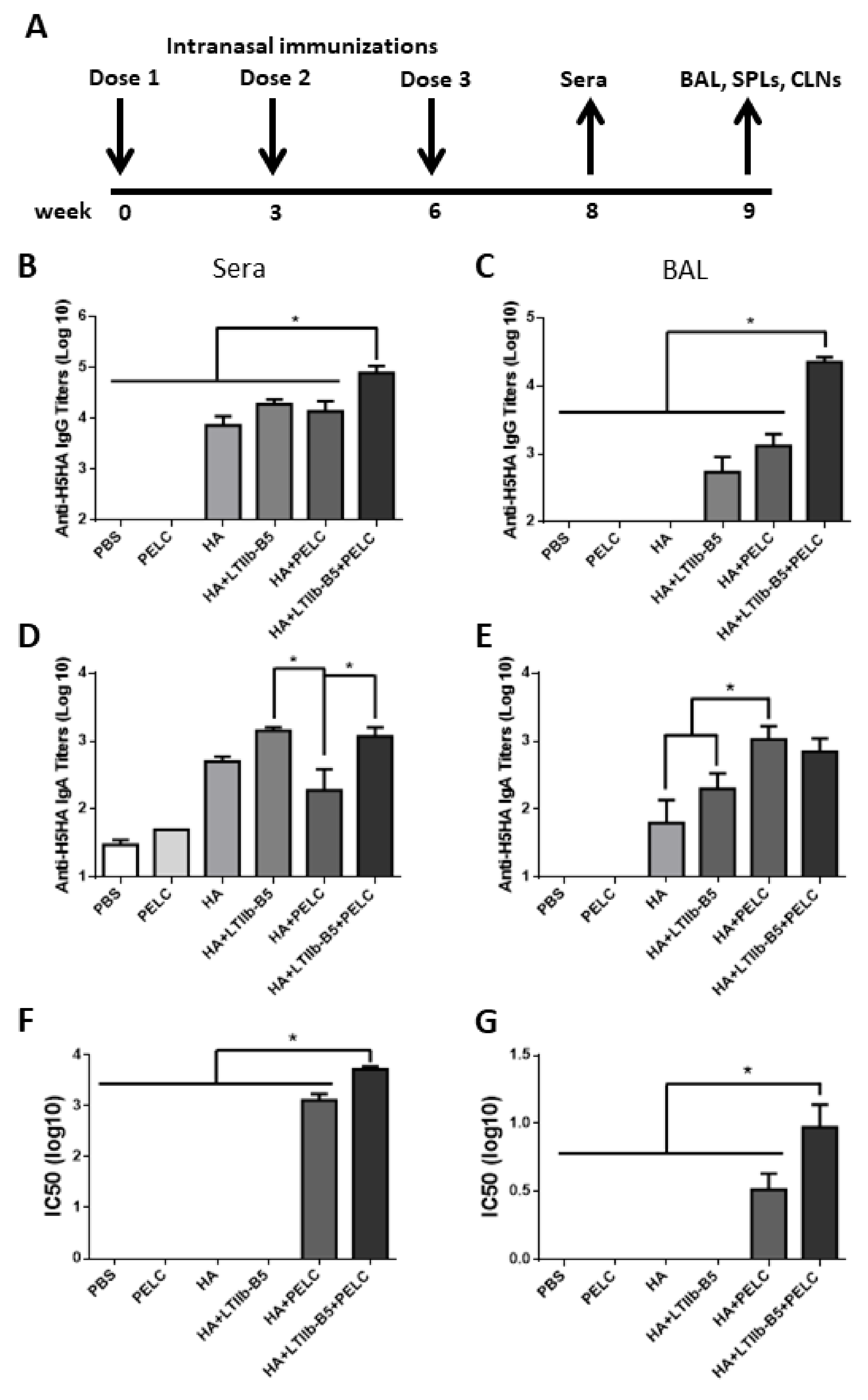 Vaccines 08 00710 g002