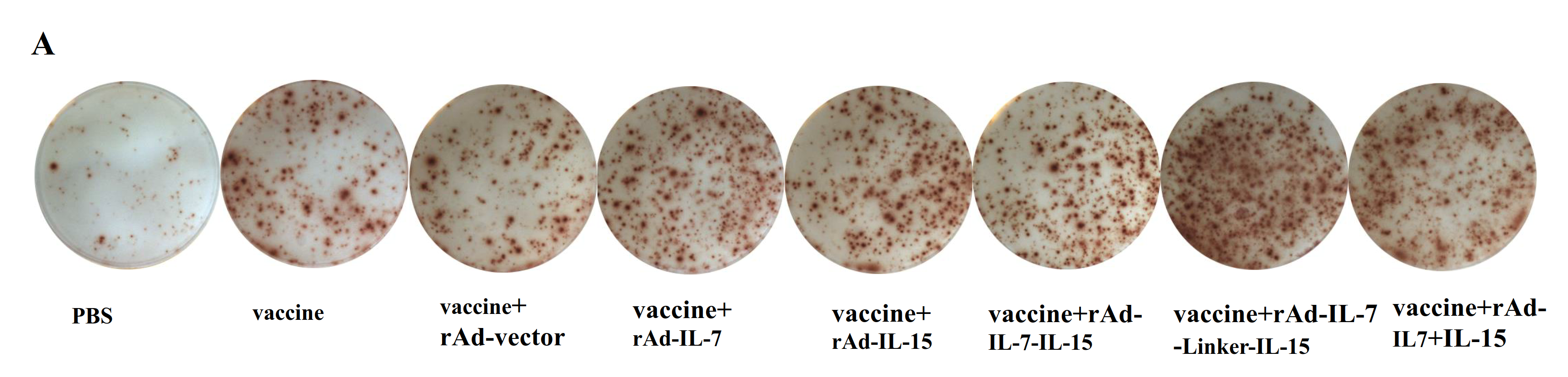 Vaccines 08 00715 g001a