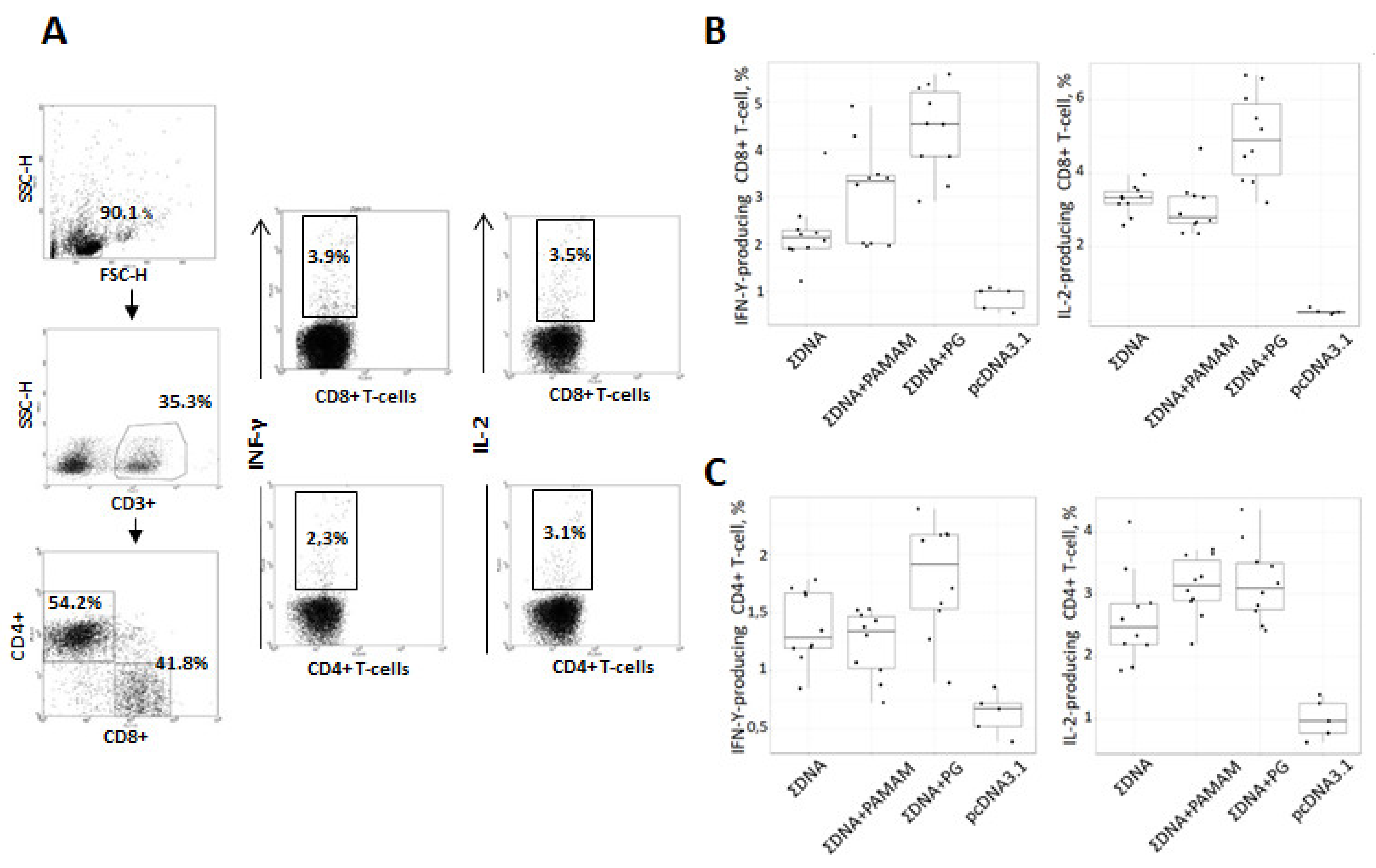 Vaccines 08 00718 g007