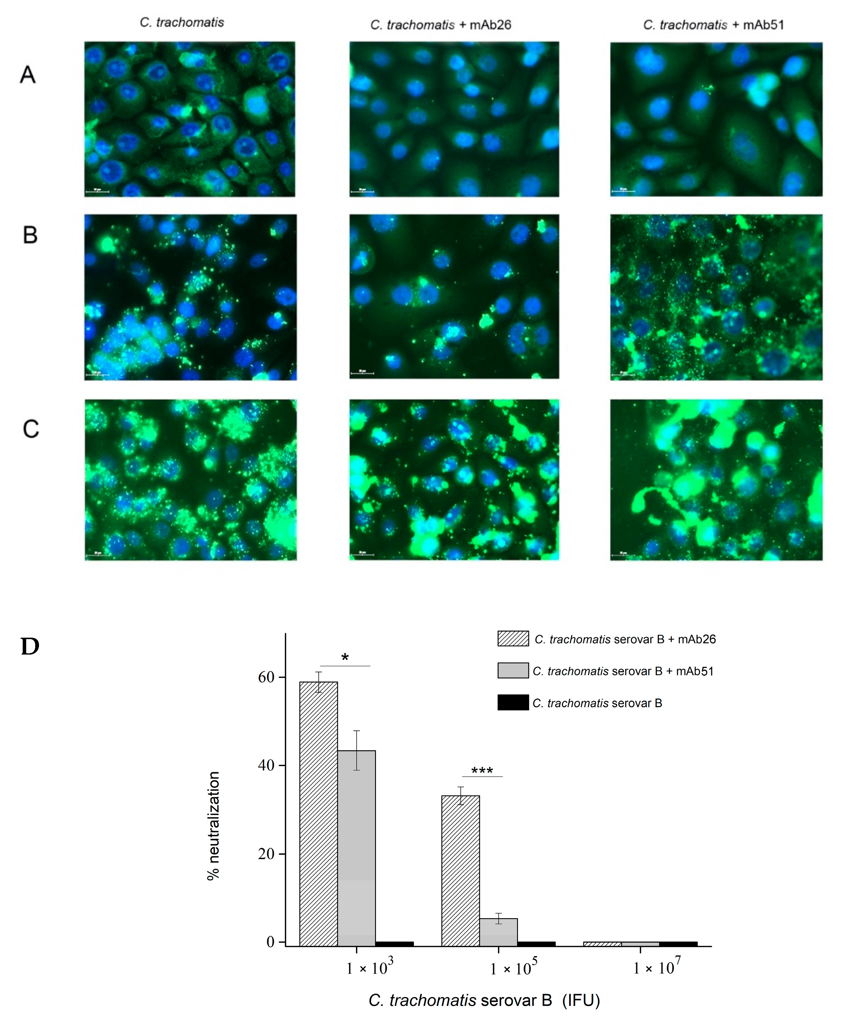 Vaccines 08 00719 g004
