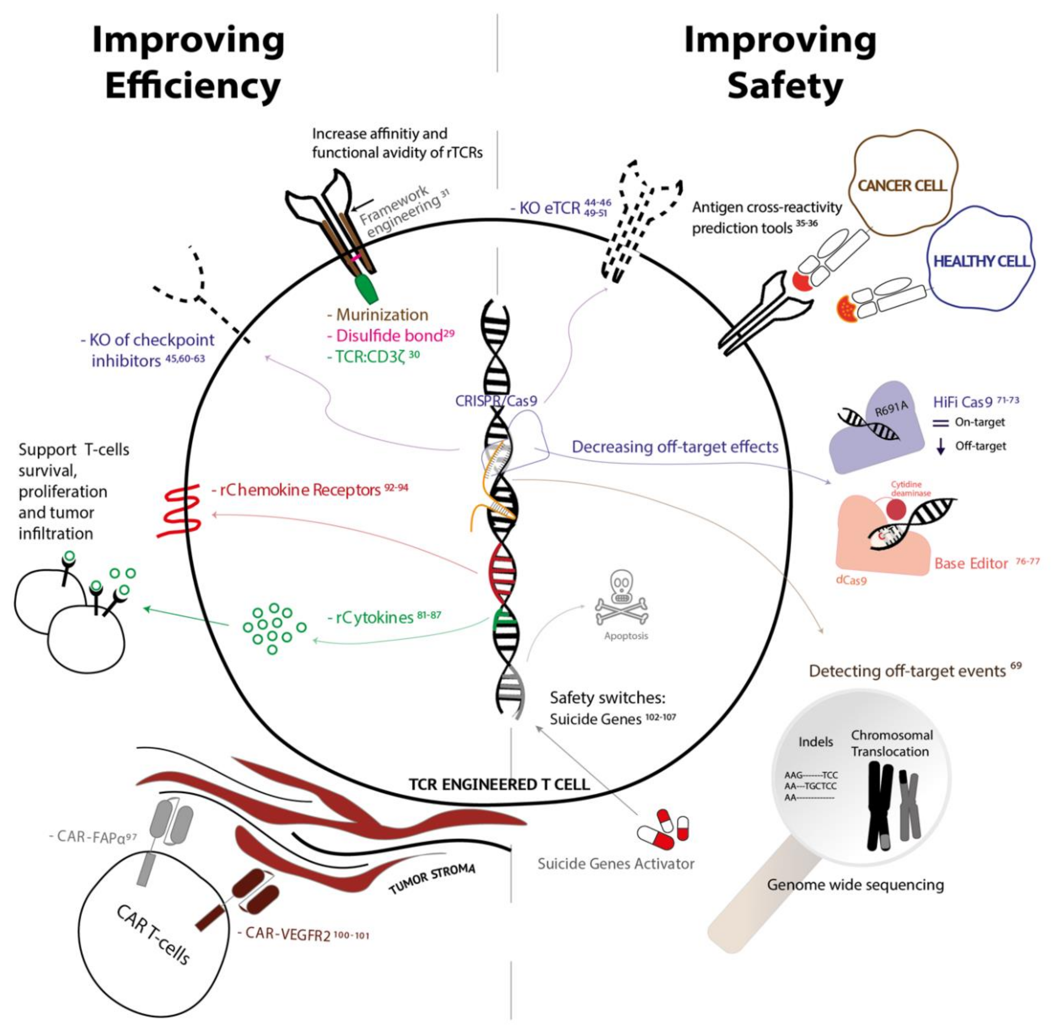 Vaccines 08 00733 g003 Vaccines 08 00733 g003
