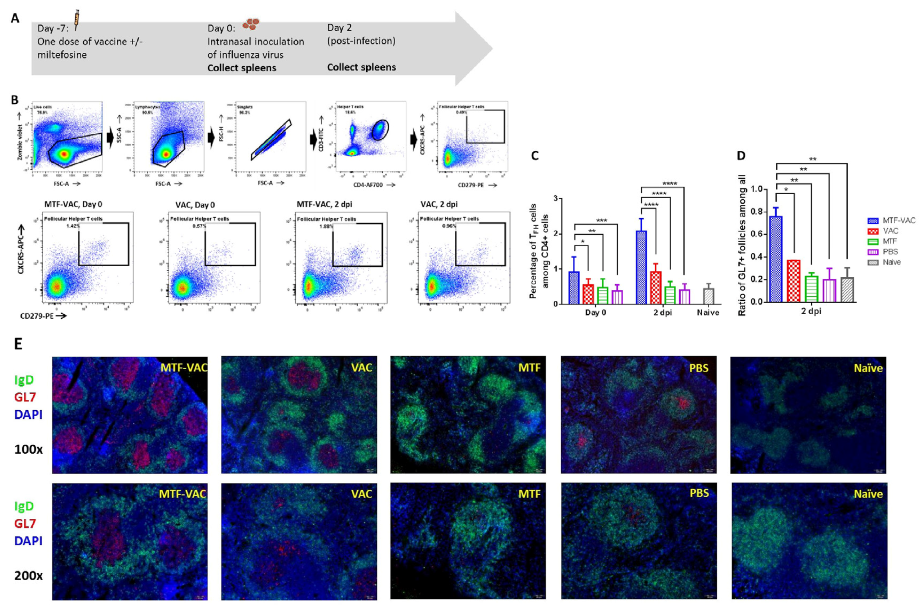Vaccines 08 00754 g004