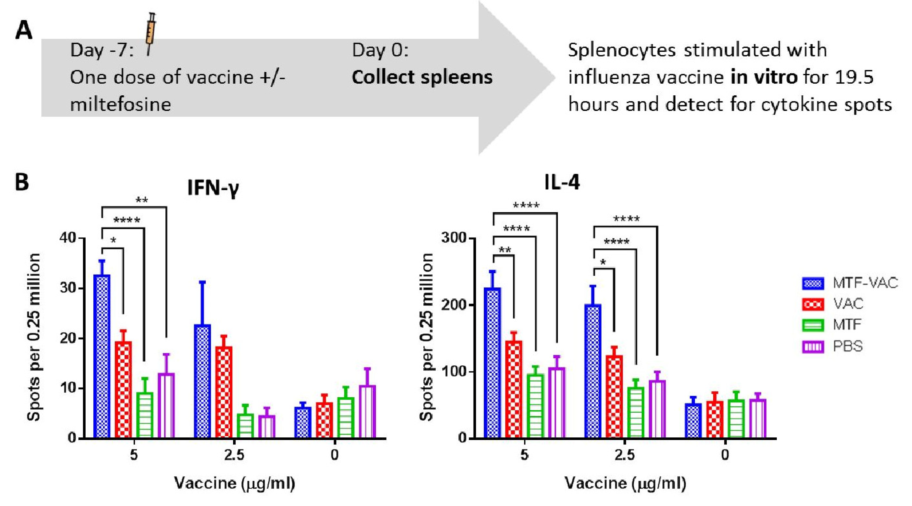 Vaccines 08 00754 g005