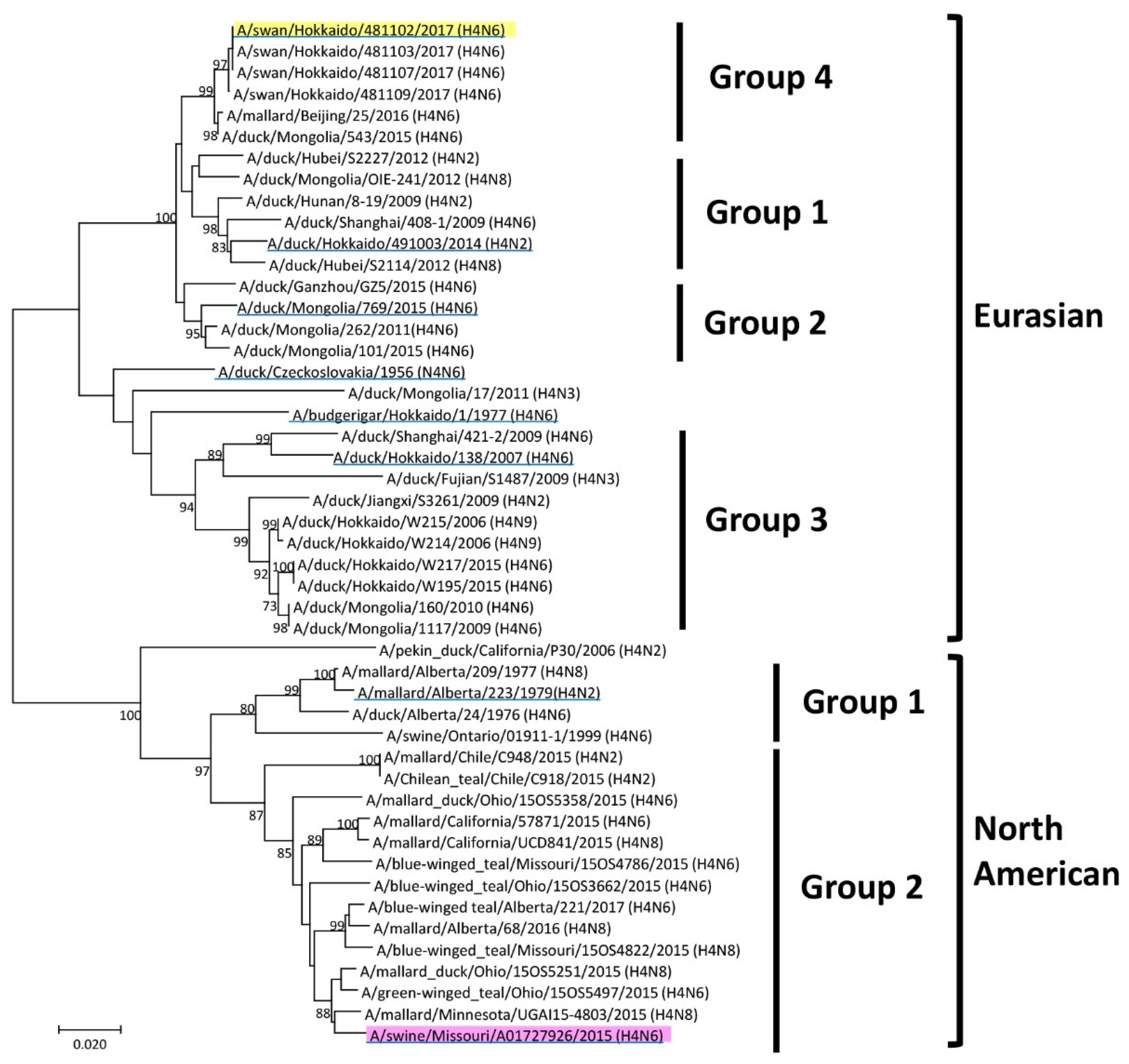 Vaccines 08 00768 g001 Vaccines 08 00768 g001