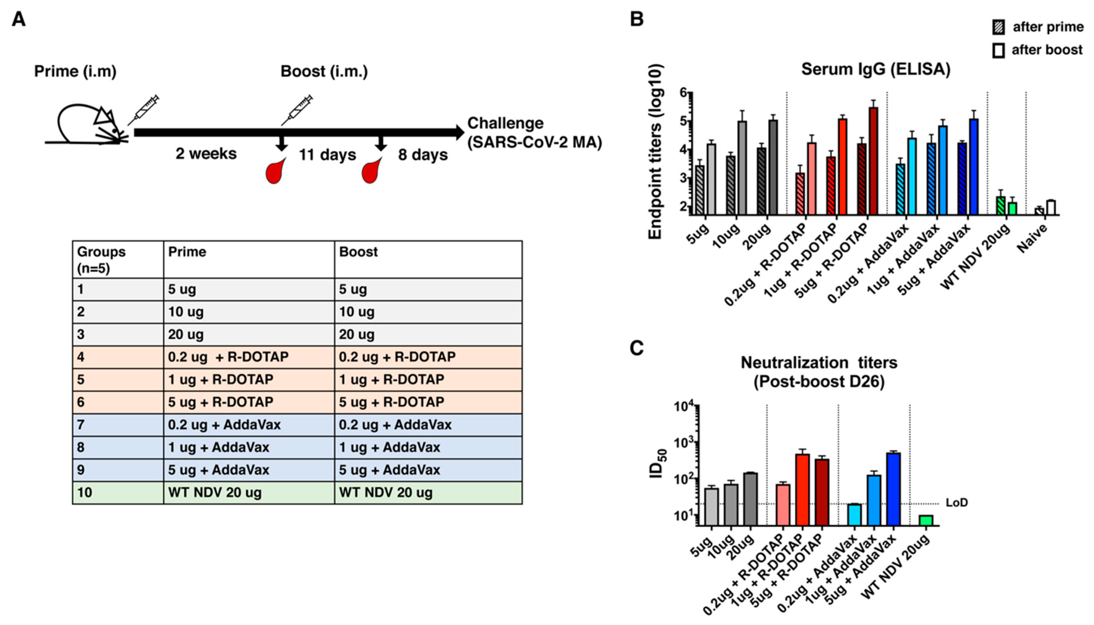 Vaccines 08 00771 g003