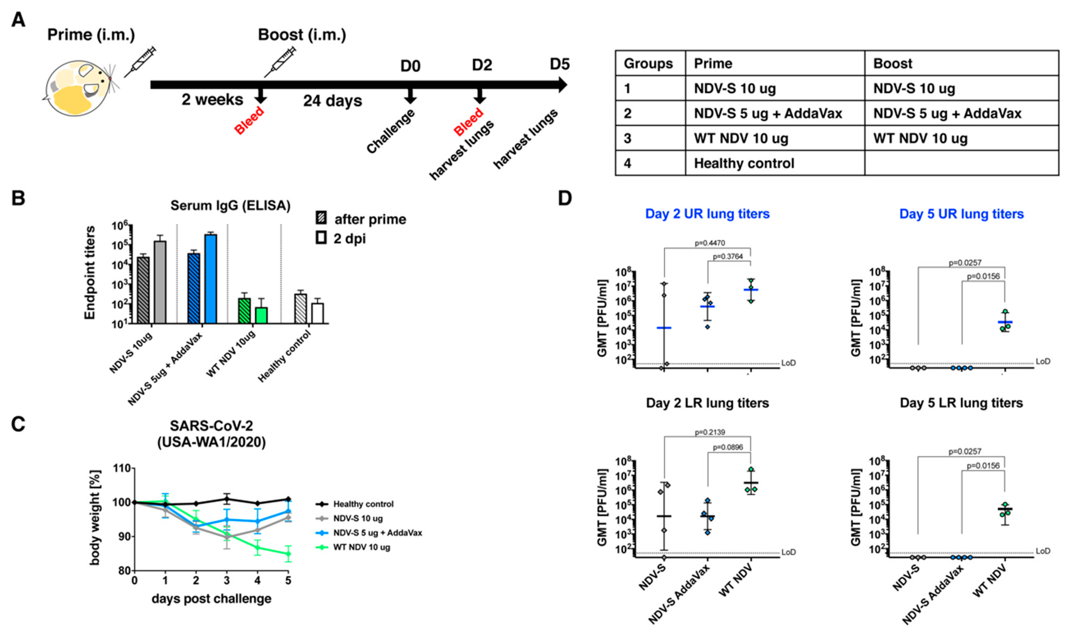Vaccines 08 00771 g005