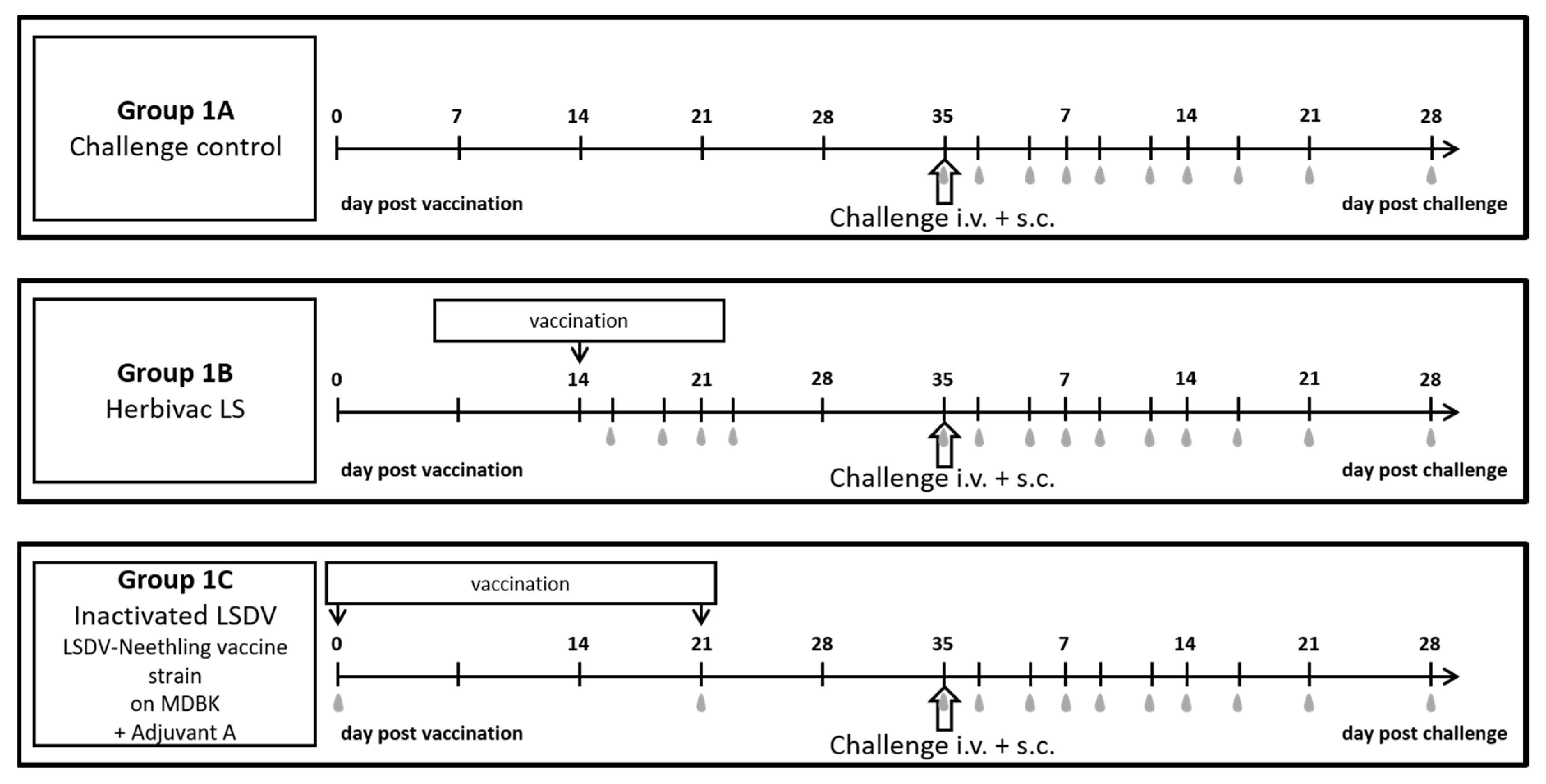 Vaccines 09 00004 g001