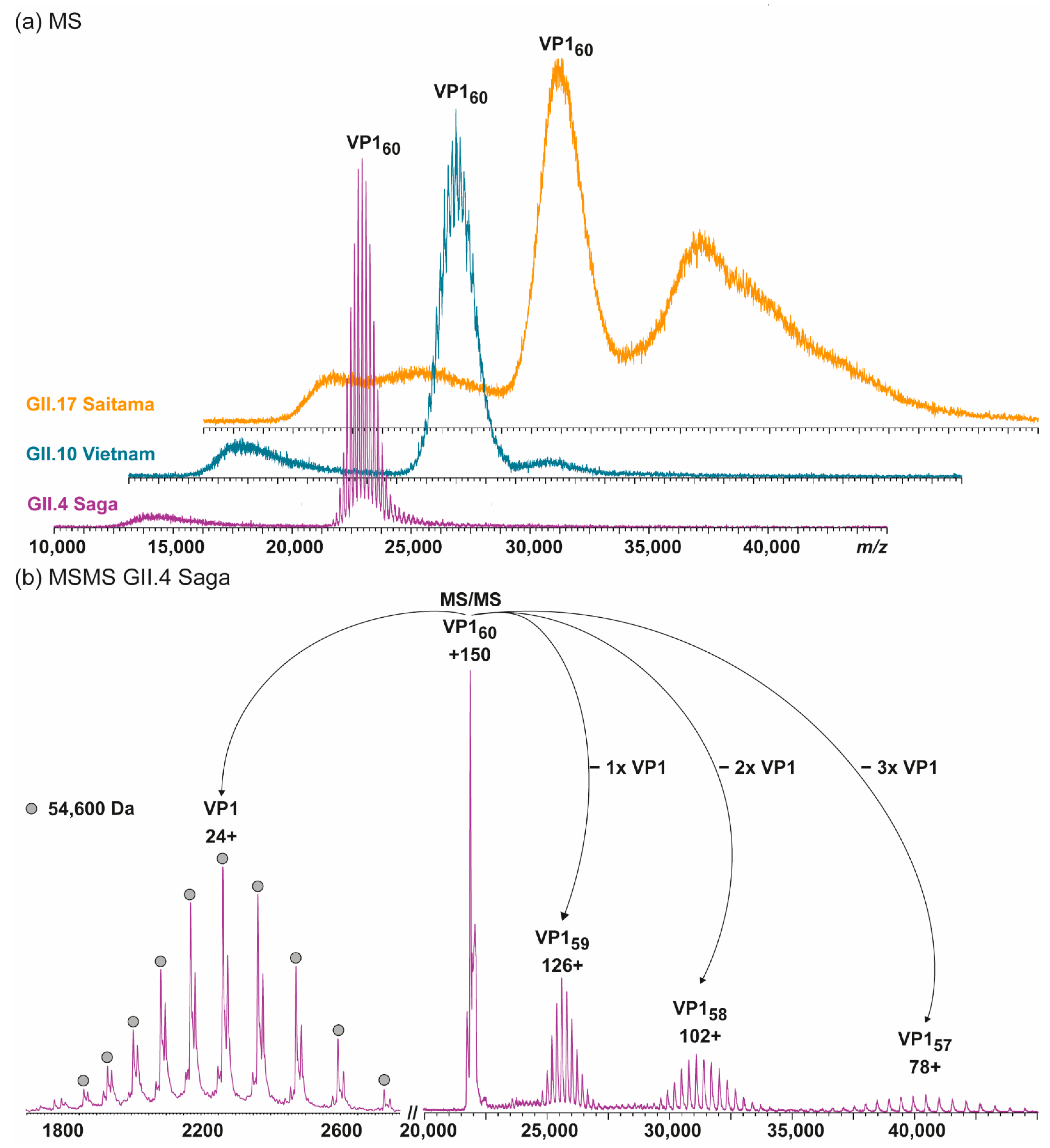 Vaccines 09 00008 g001