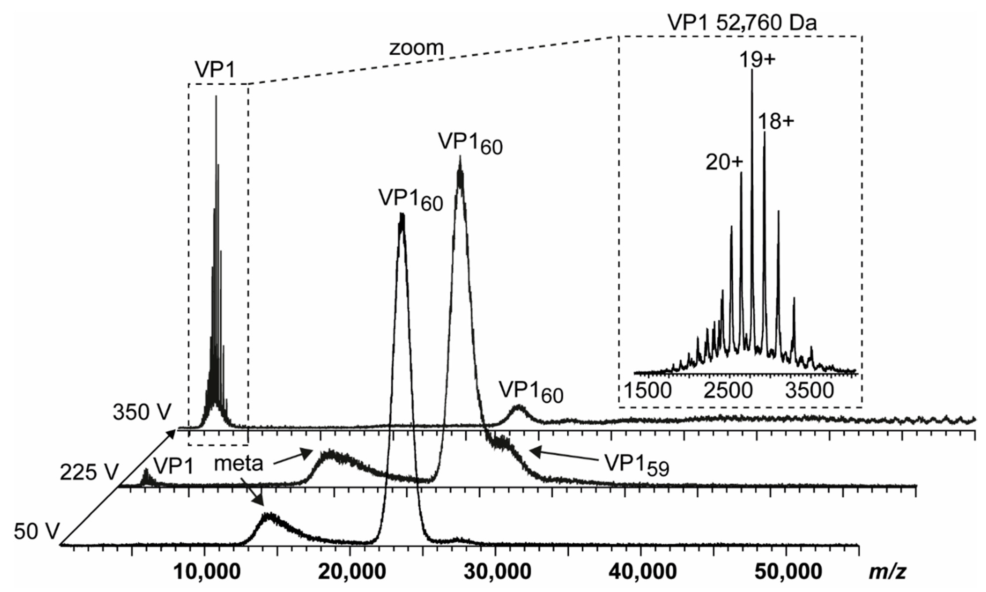 Vaccines 09 00008 g002