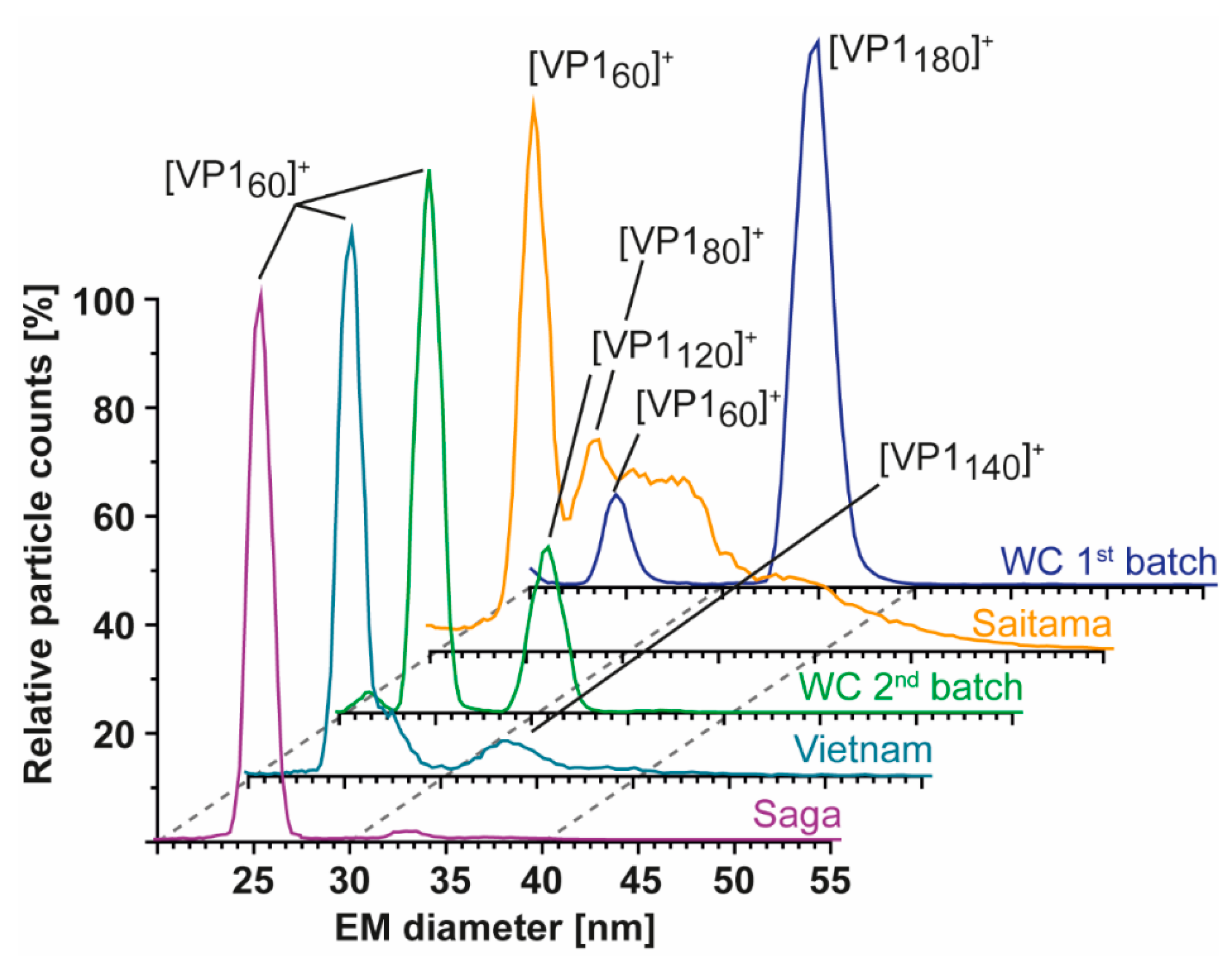 Vaccines 09 00008 g004