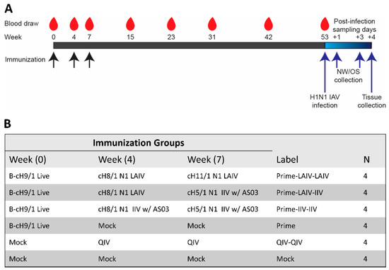 Vaccines 09 00040 g001