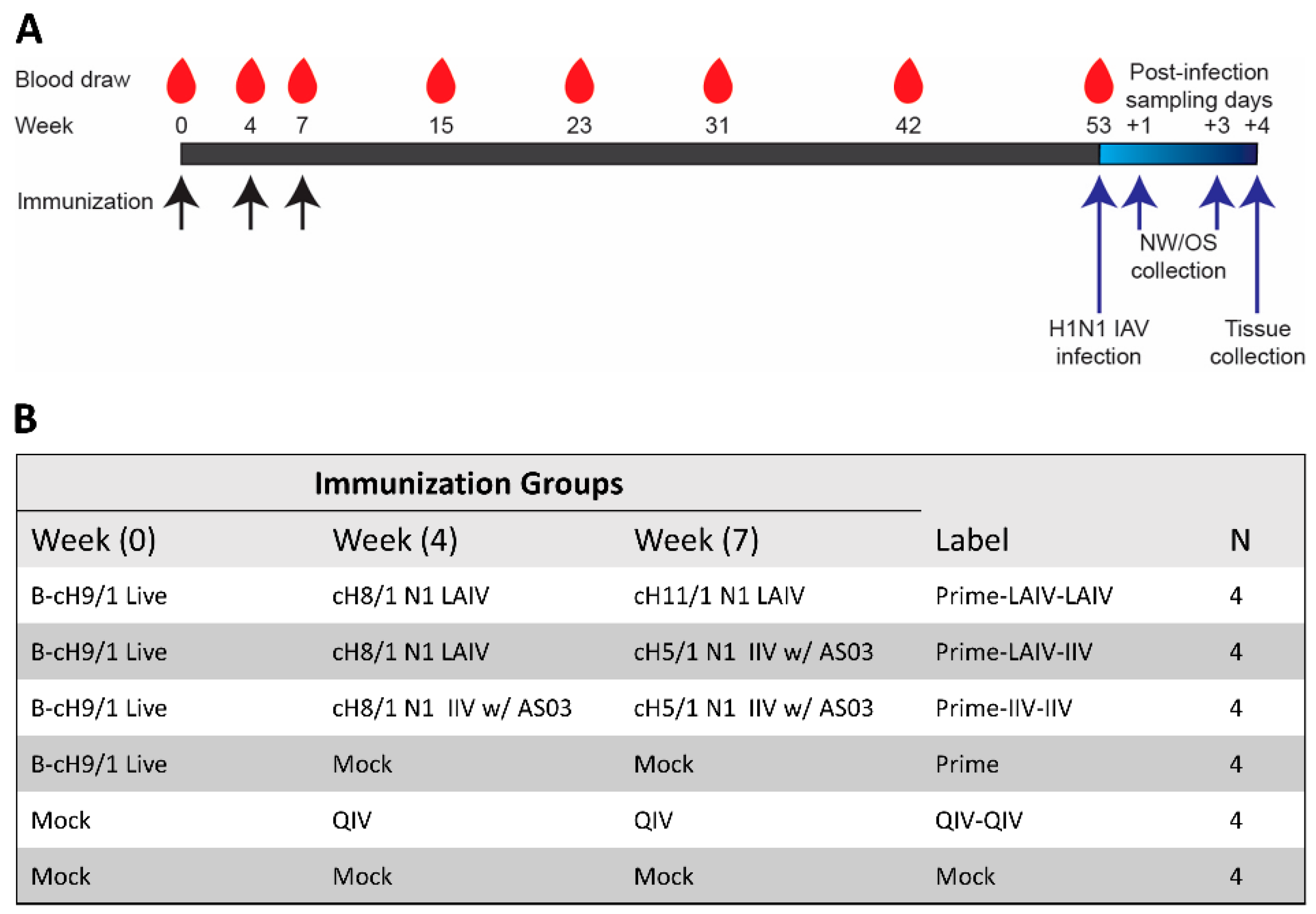 Vaccines 09 00040 g001