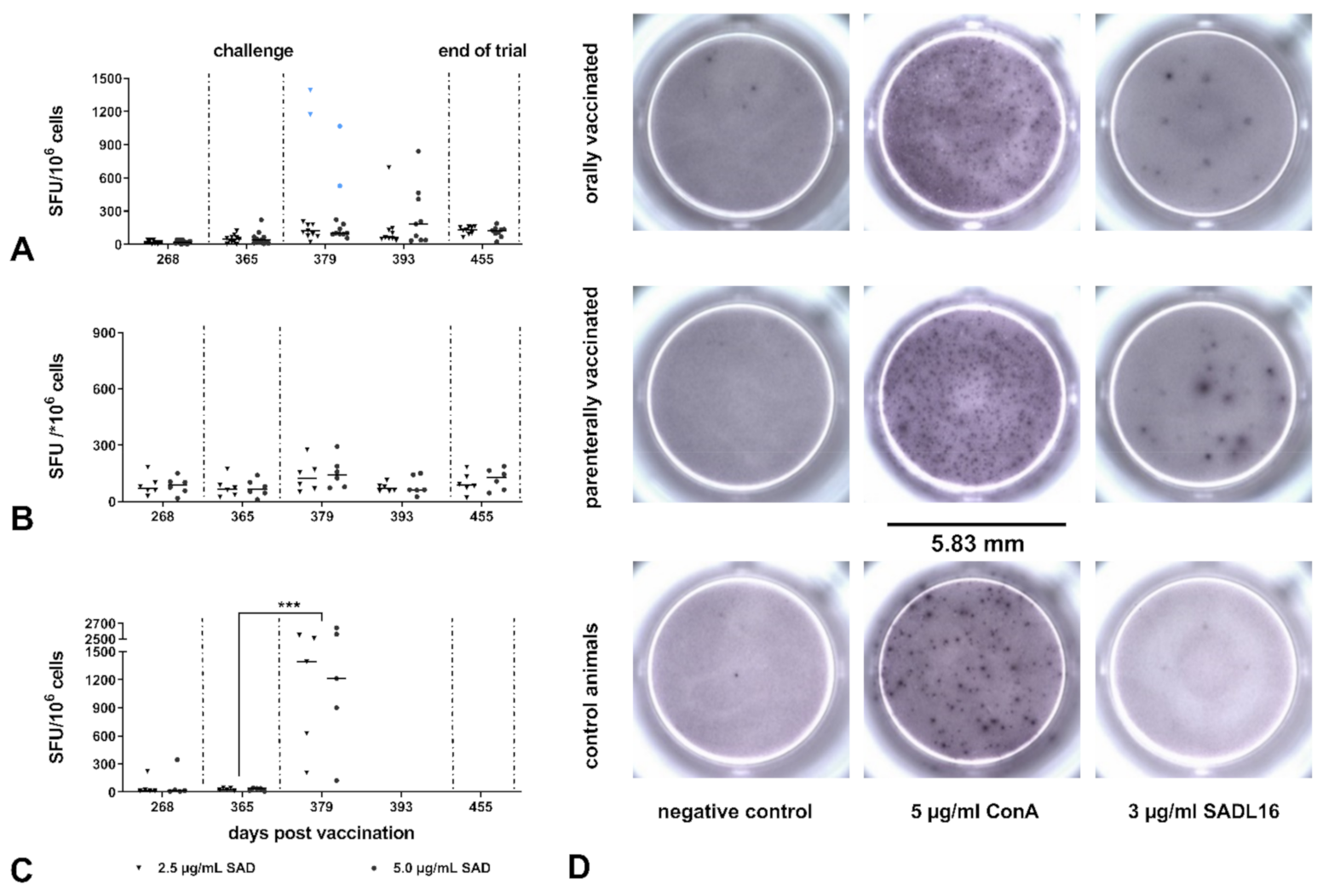 Vaccines 09 00049 g005