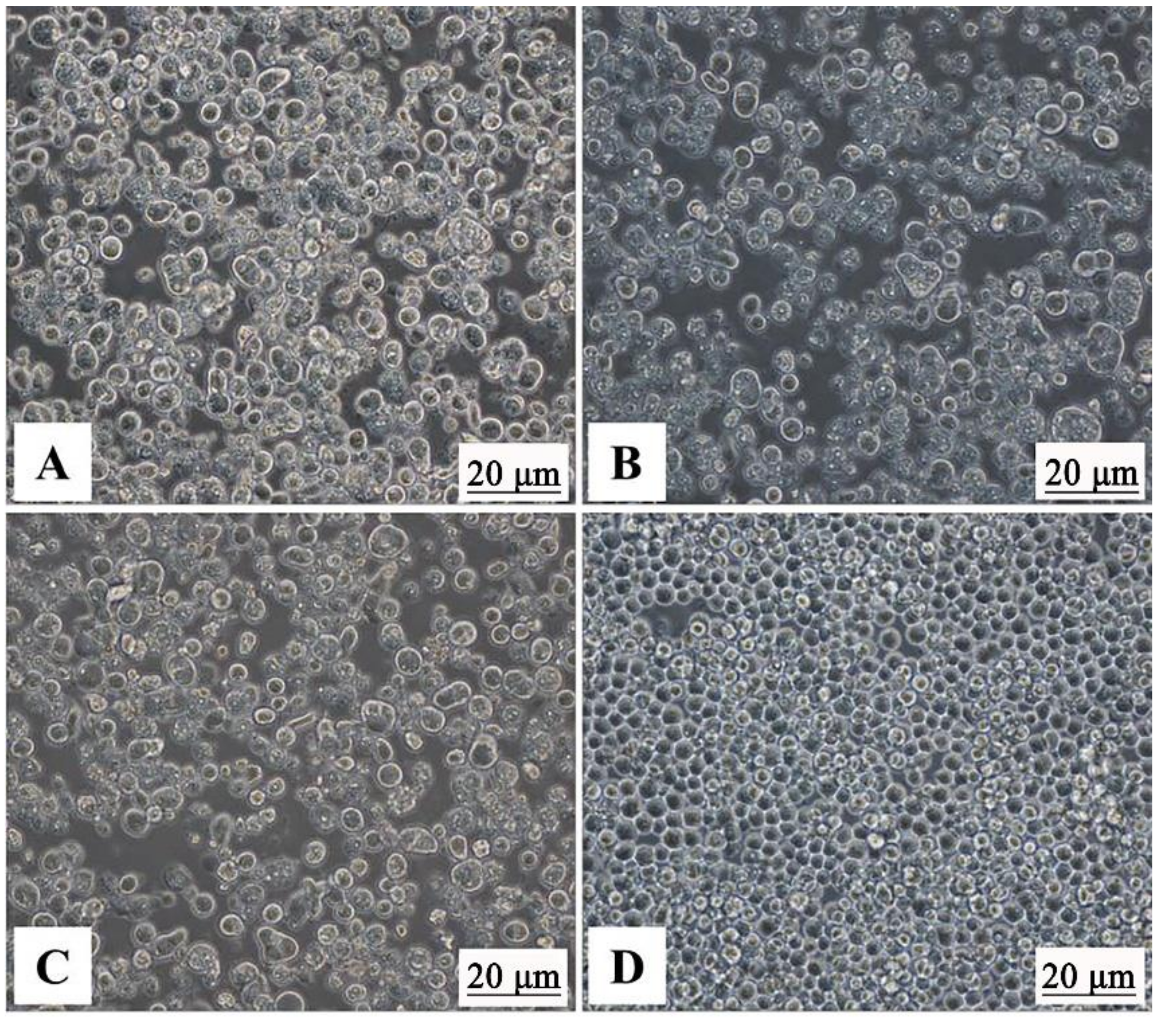 Vaccines 09 00053 g002 Vaccines 09 00053 g002