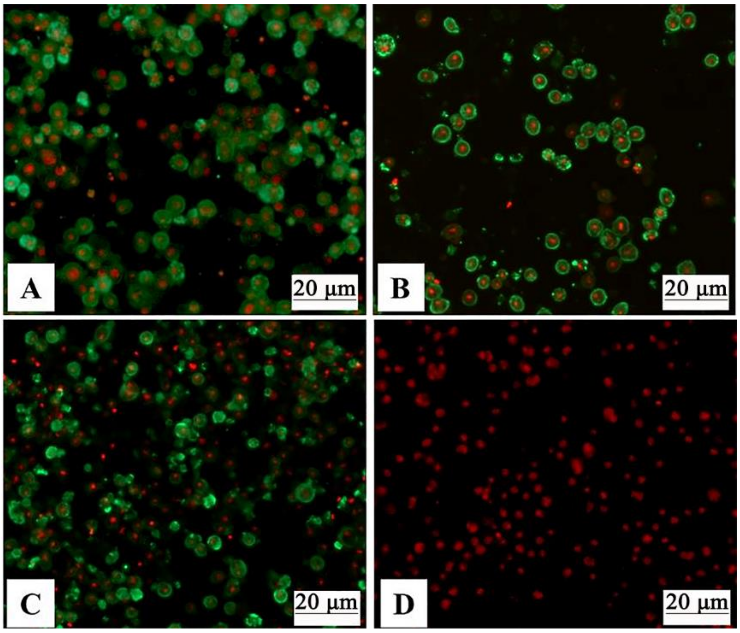 Vaccines 09 00053 g003 Vaccines 09 00053 g003