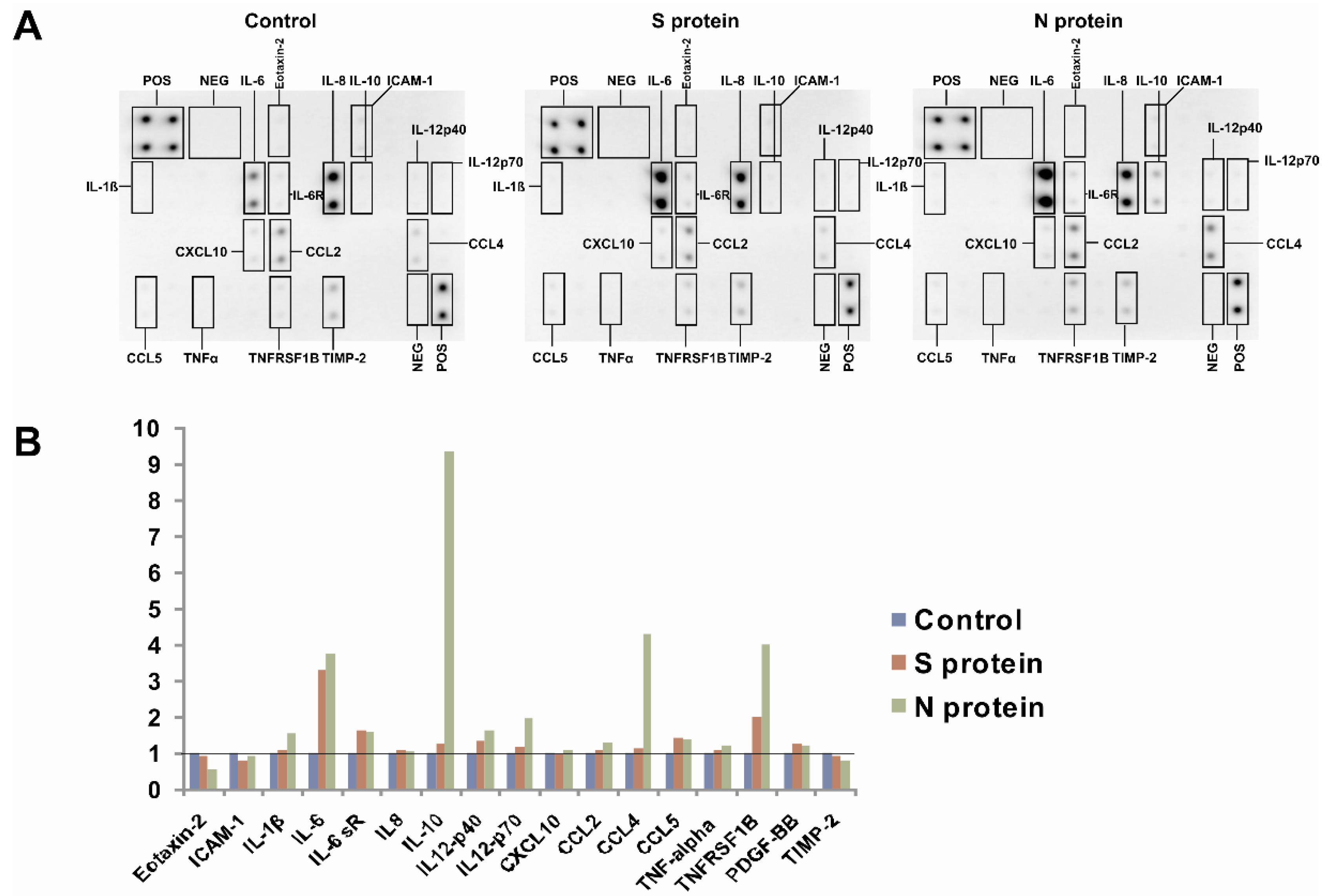 Vaccines 09 00054 g001
