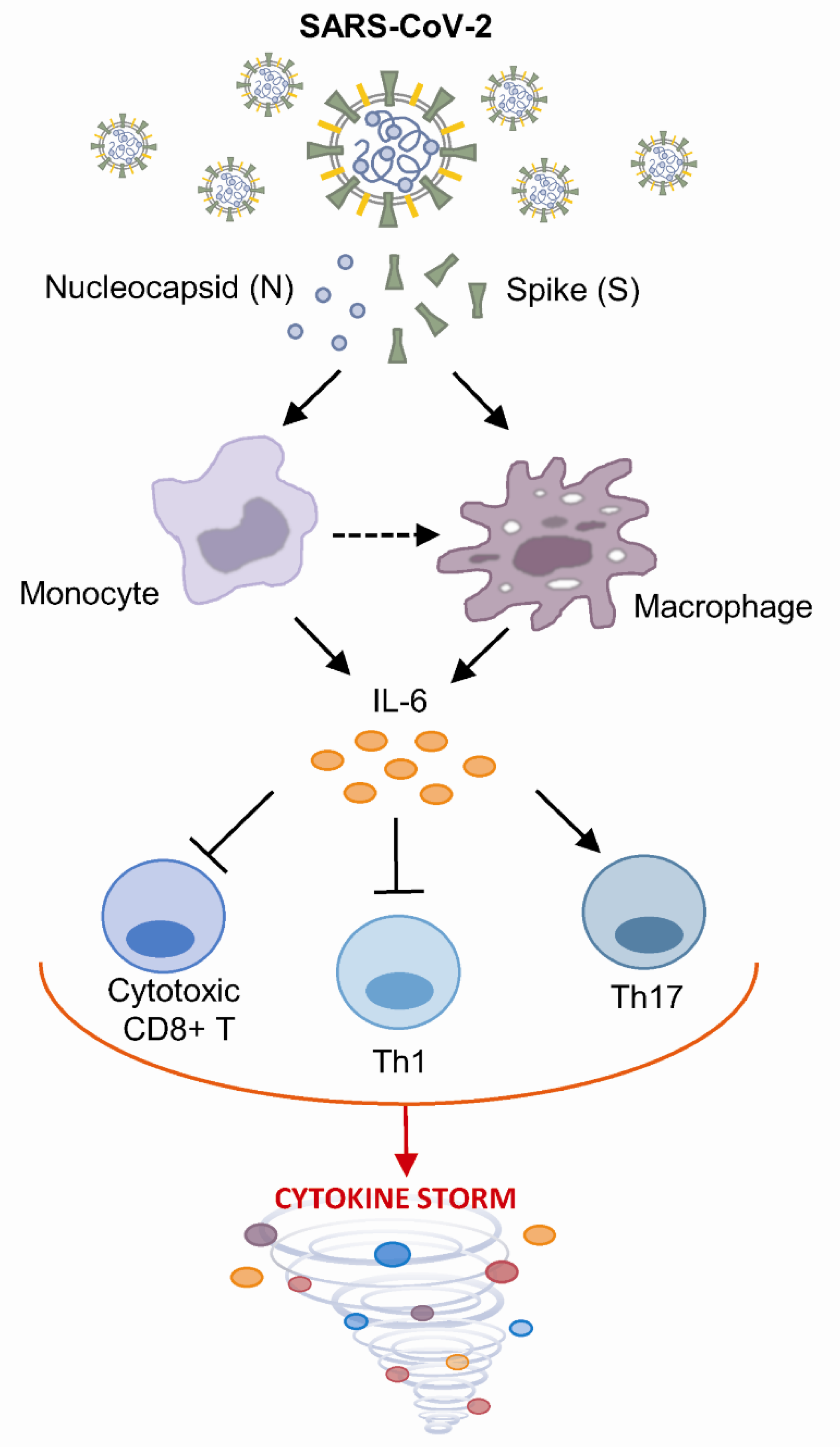 Vaccines 09 00054 g005