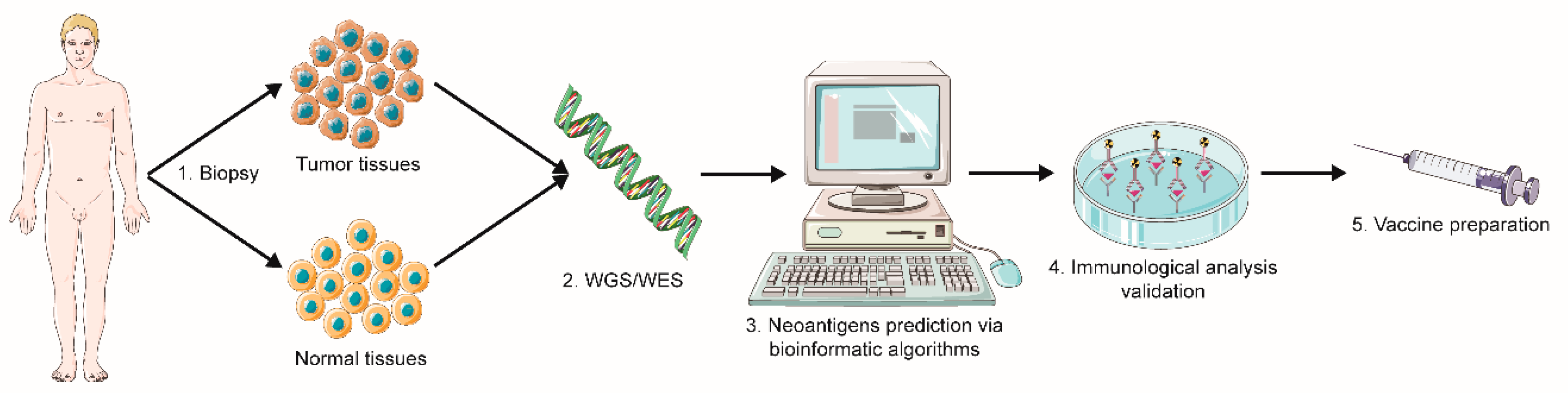 Vaccines 09 00085 g002