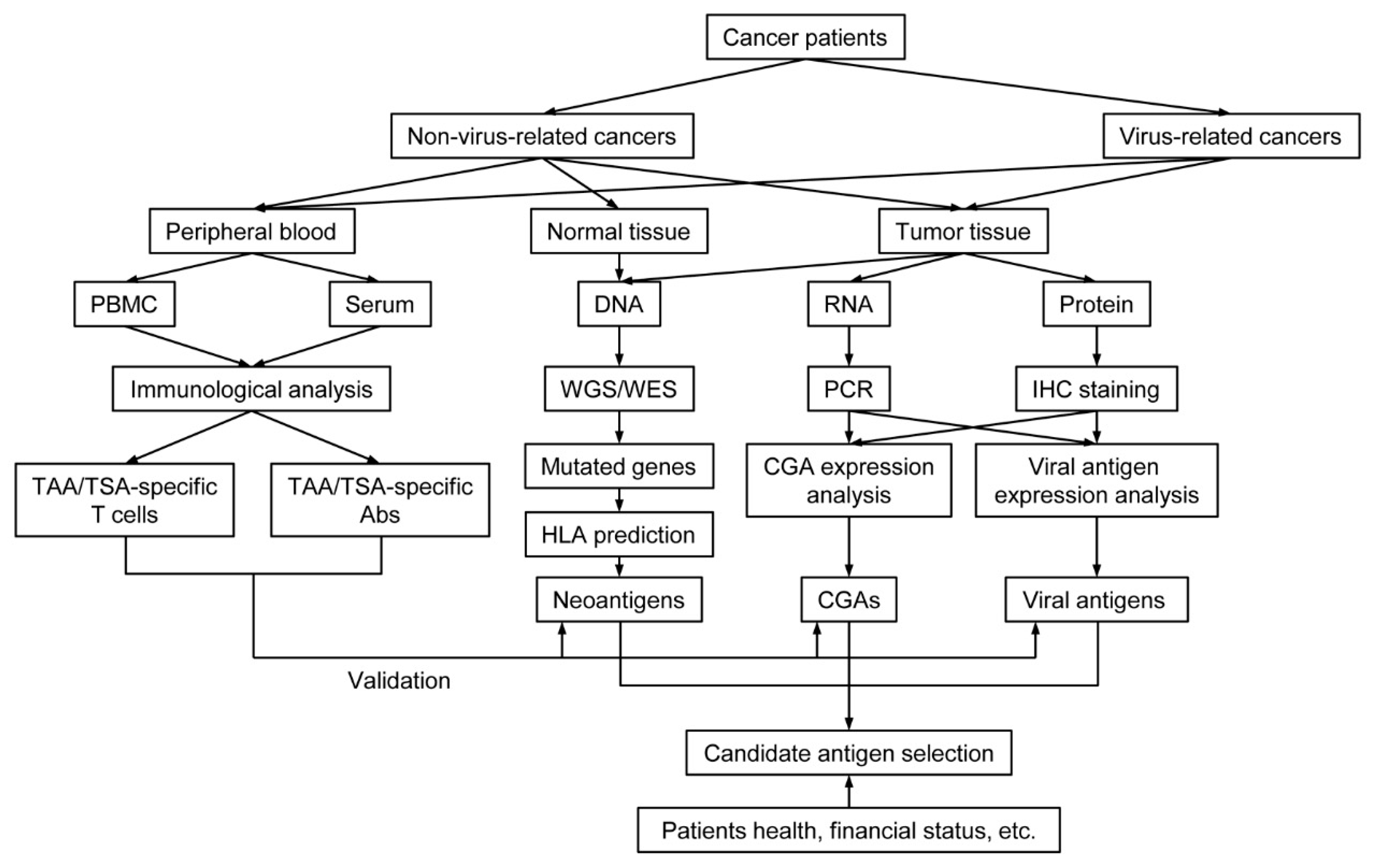 Vaccines 09 00085 g004