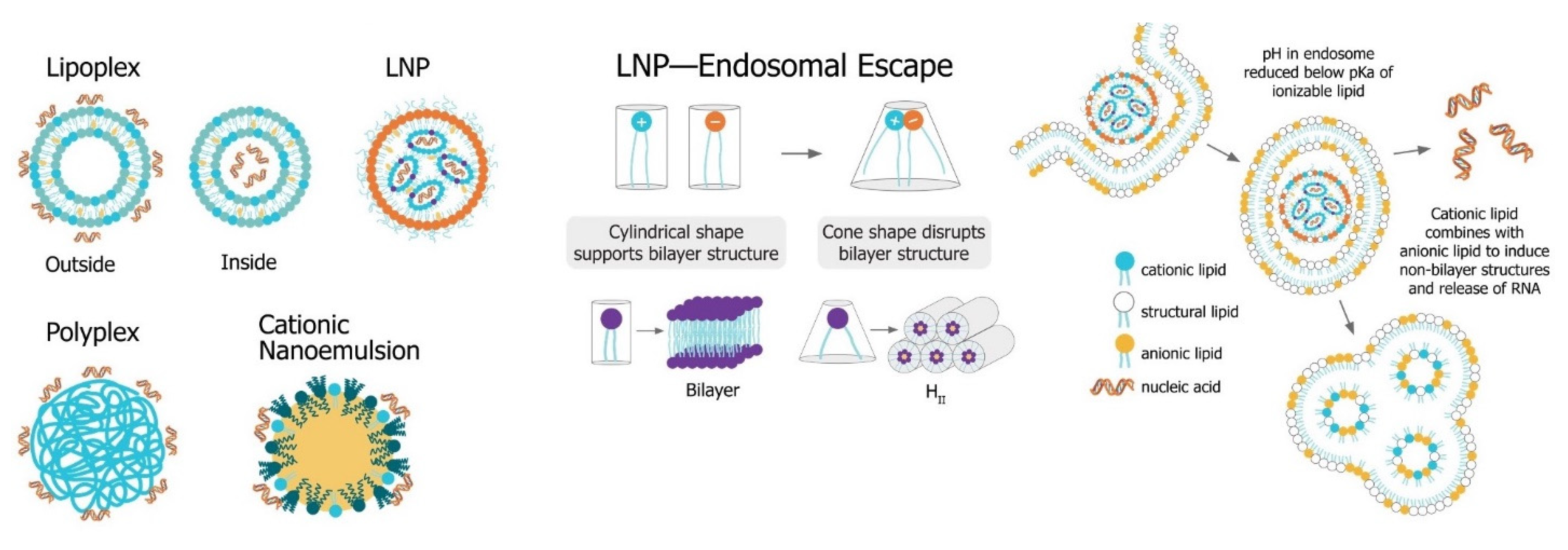 Vaccines 09 00097 g006
